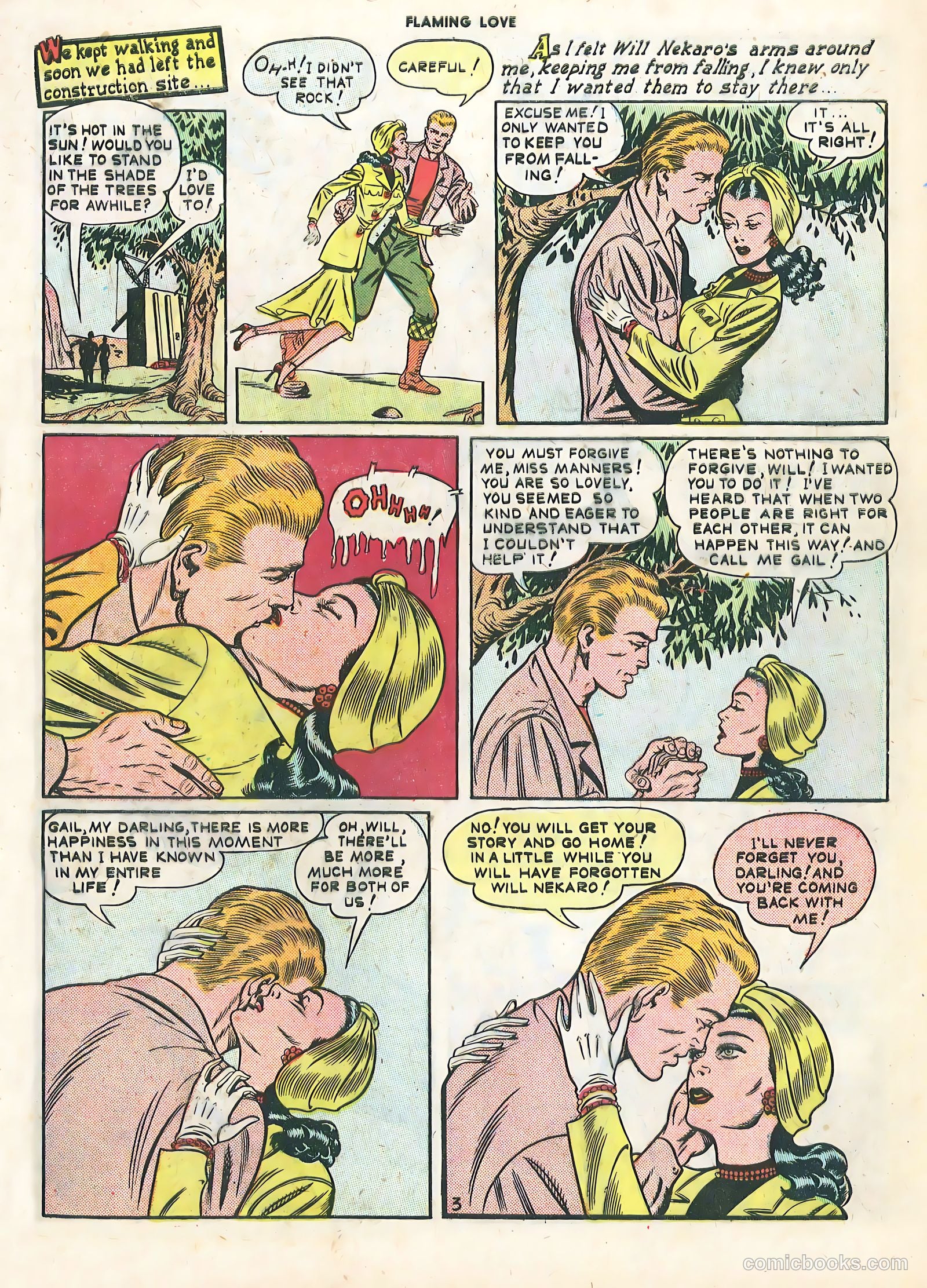 Flaming Love #1 — page 5 of 36