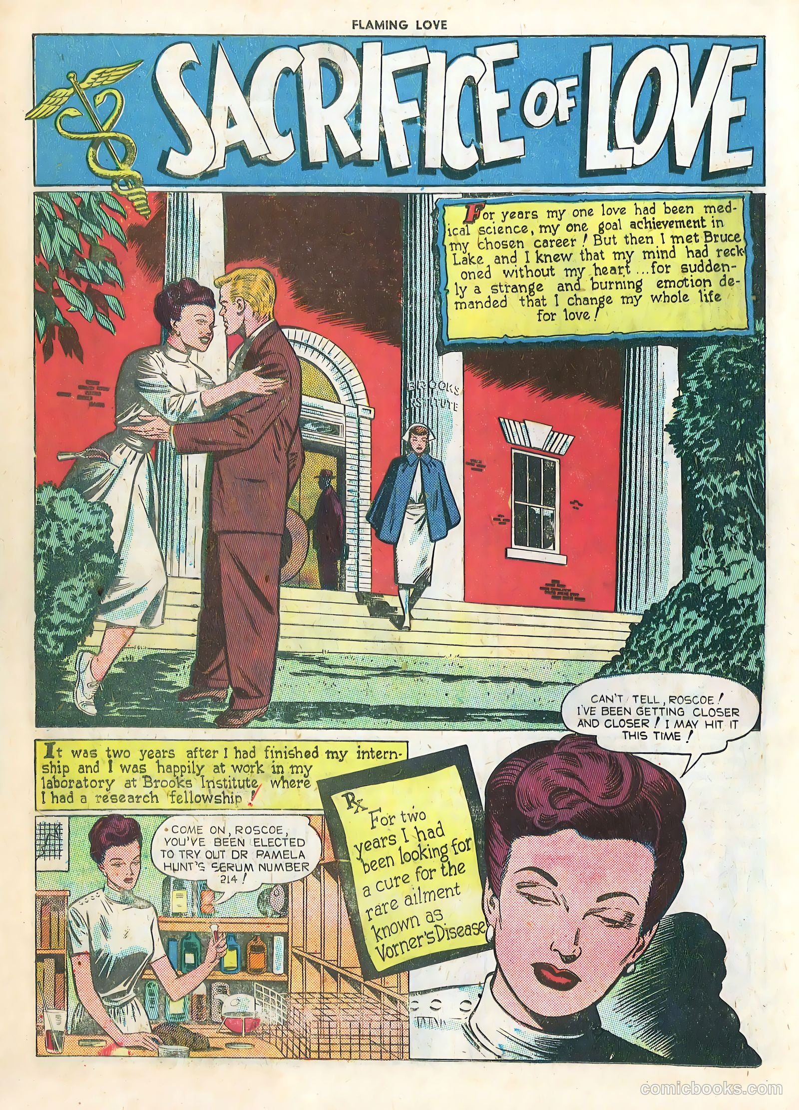 Flaming Love #1 — page 18 of 36