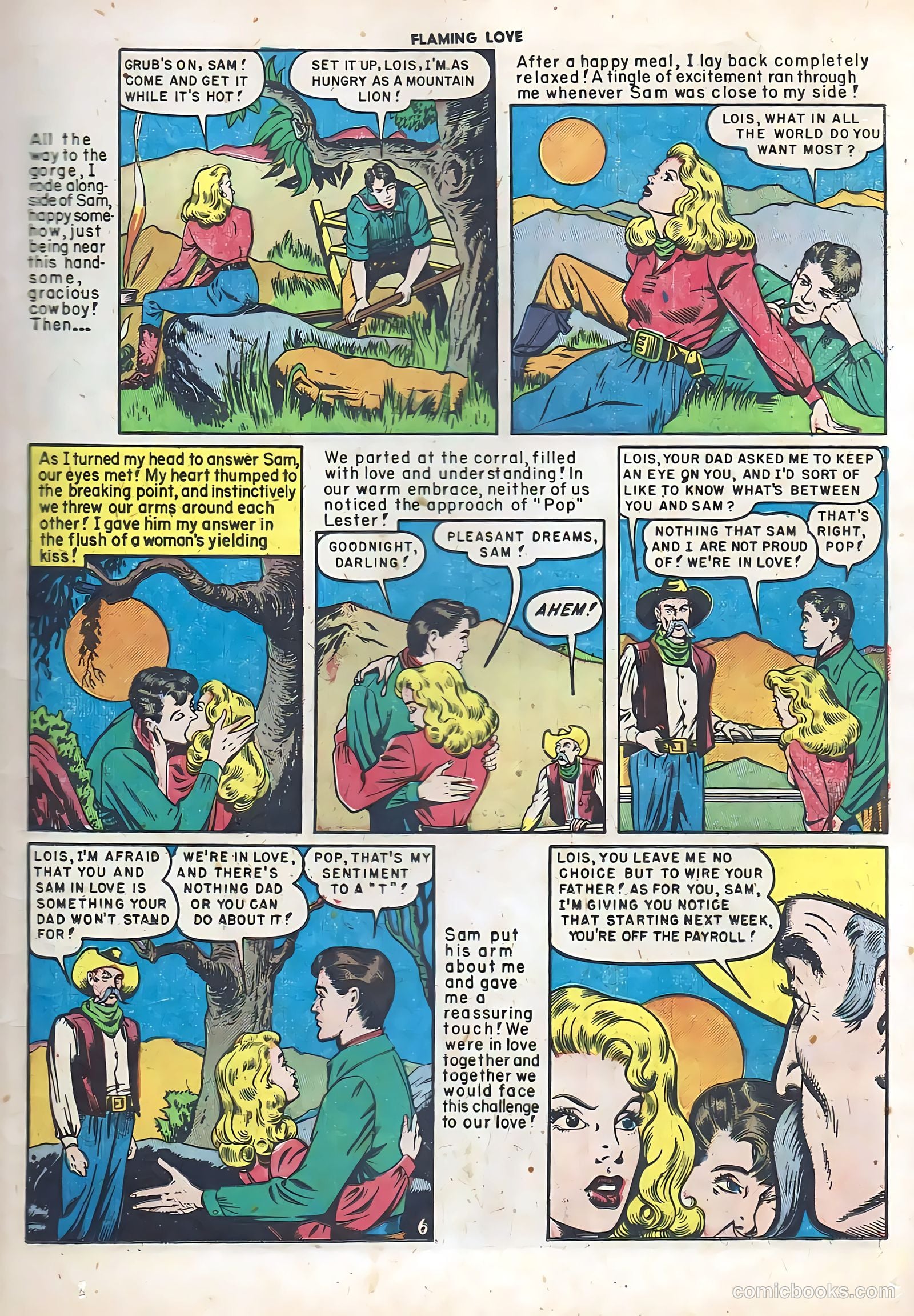 Flaming Love #5 — page 17 of 52