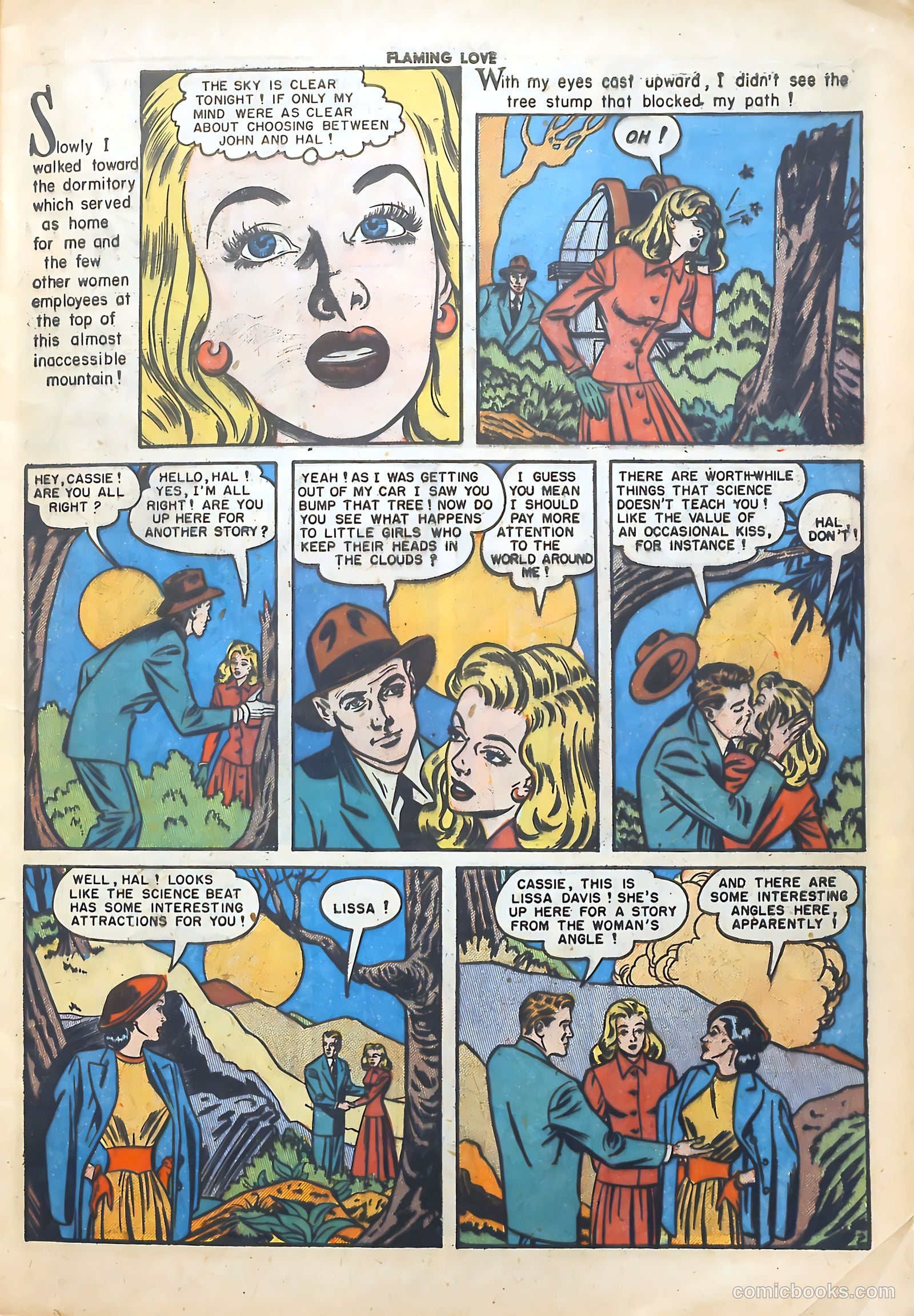 Flaming Love #6 — page 13 of 52