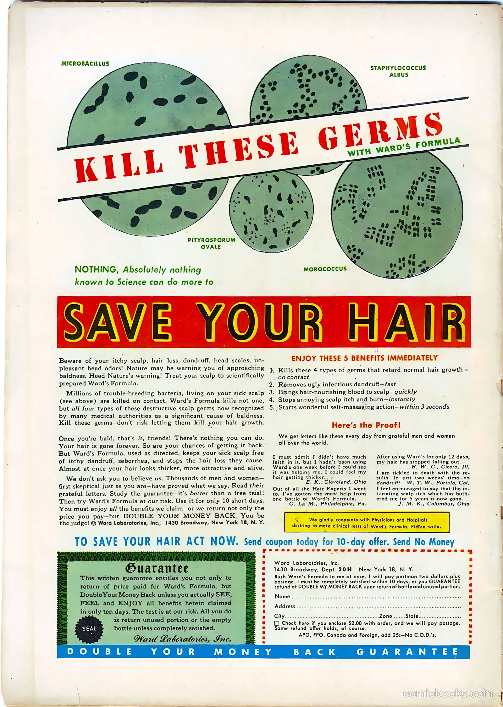 All-Famous Crime #8 — page 36 of 36
