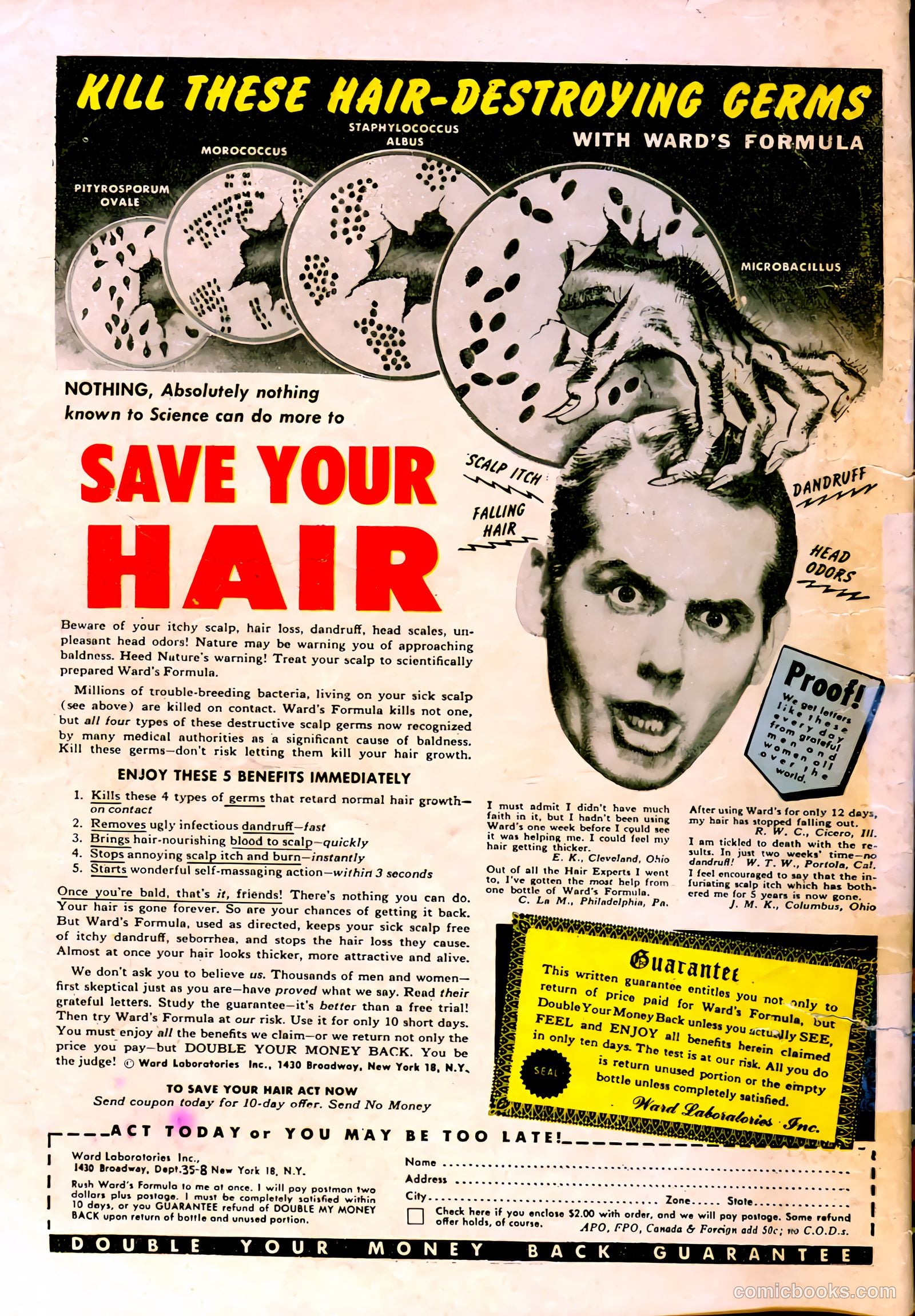 All-Famous Crime #9 — page 36 of 37