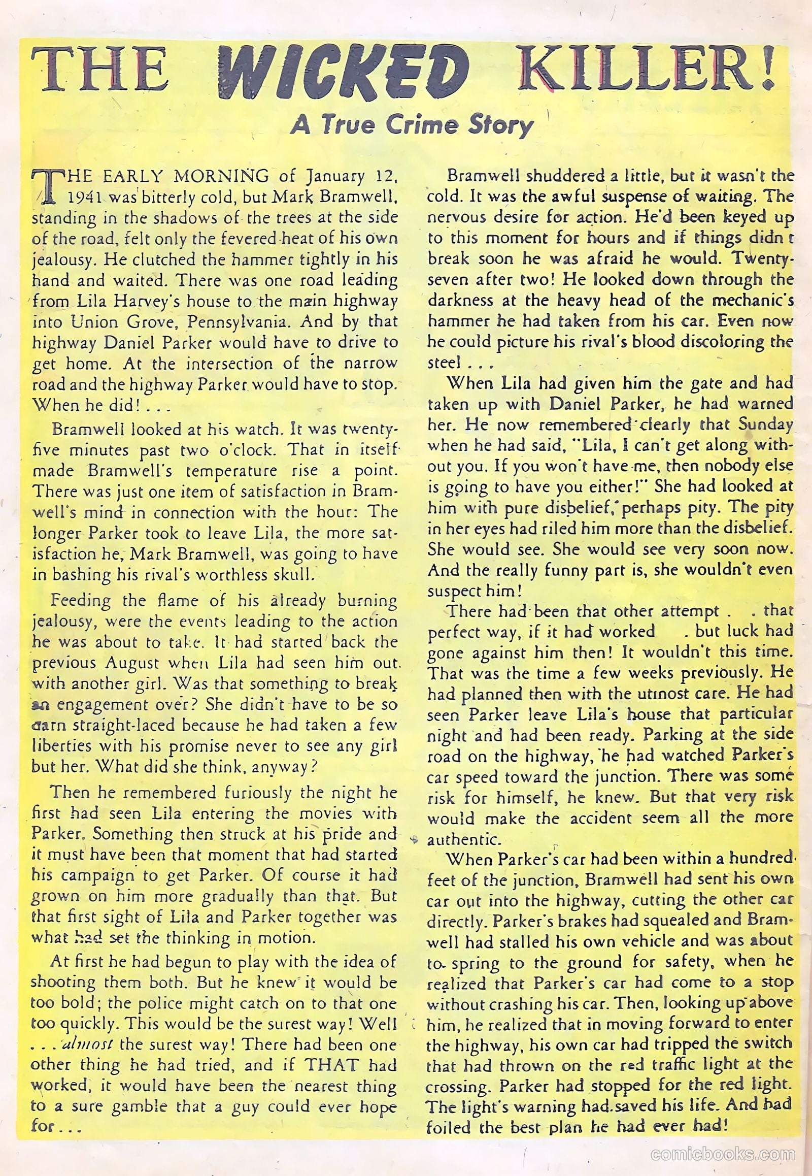 All-Famous Police Cases #12 — page 31 of 38