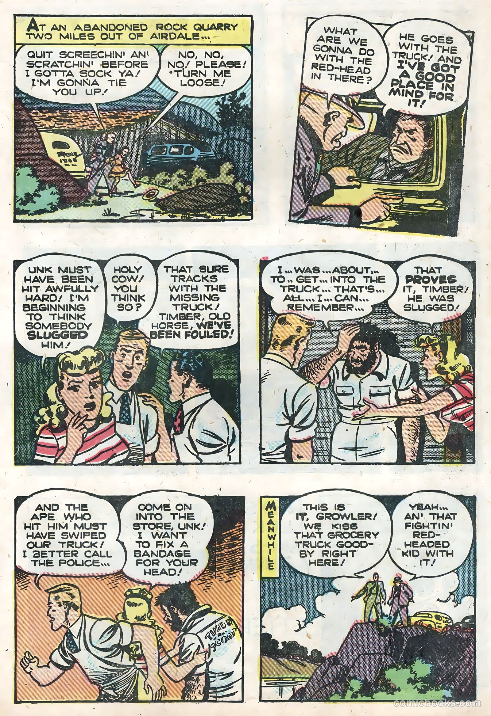 Flyin' Jenny #2 — page 21 of 36