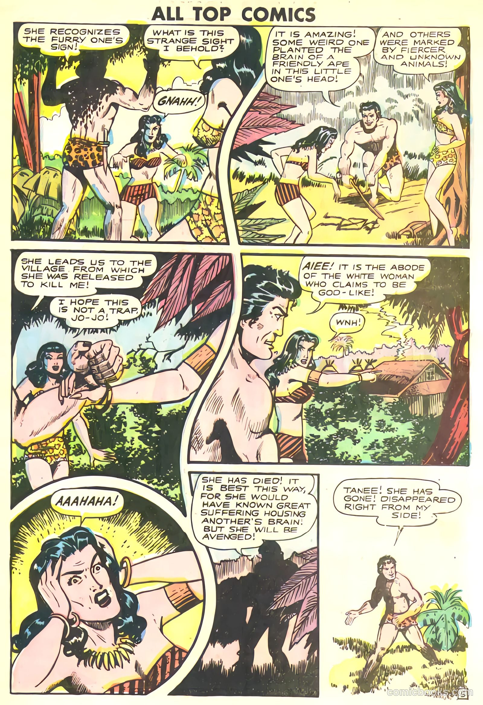 All Top Comics #14 — page 29 of 36