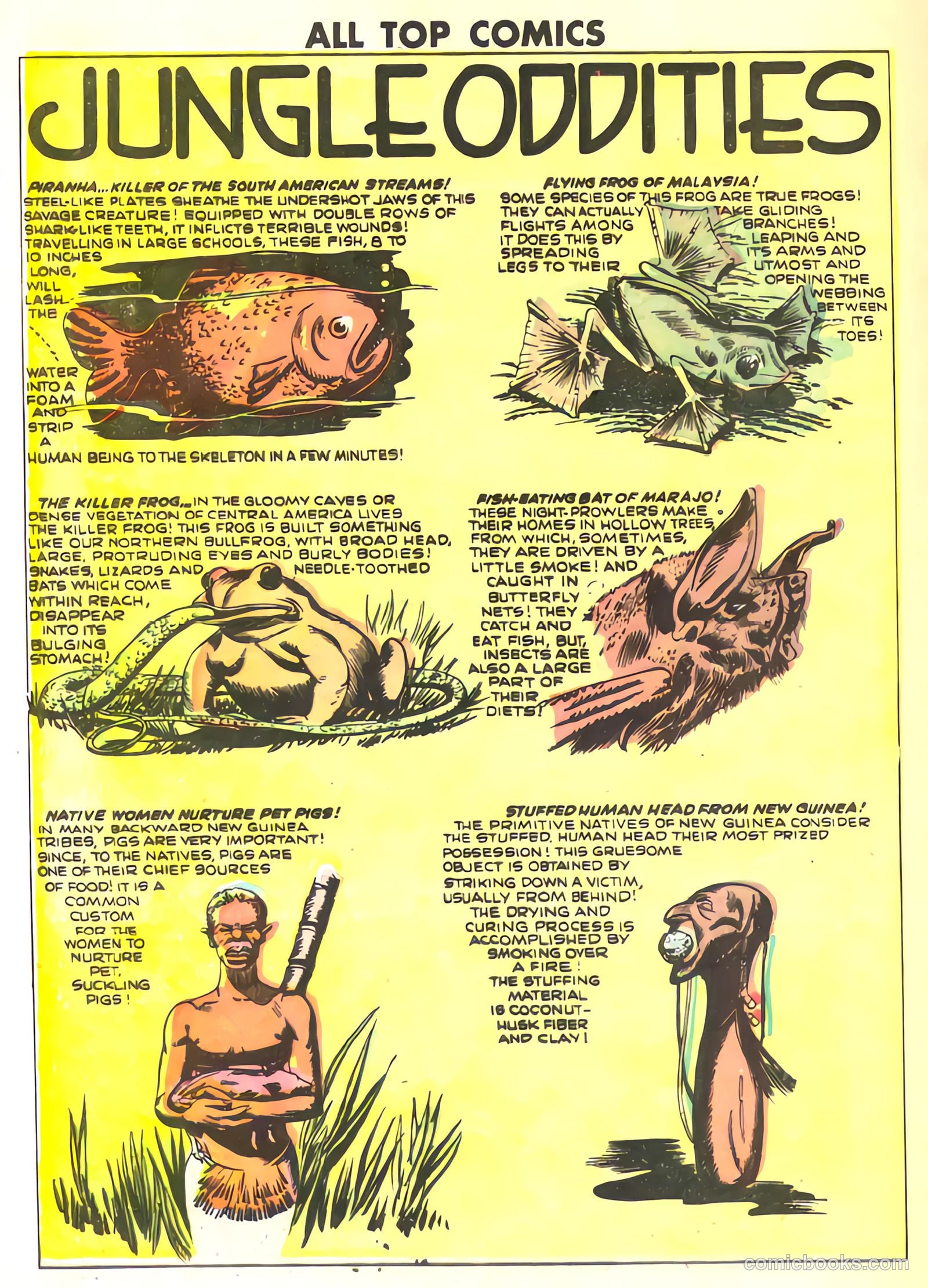 All Top Comics #14 — page 32 of 36