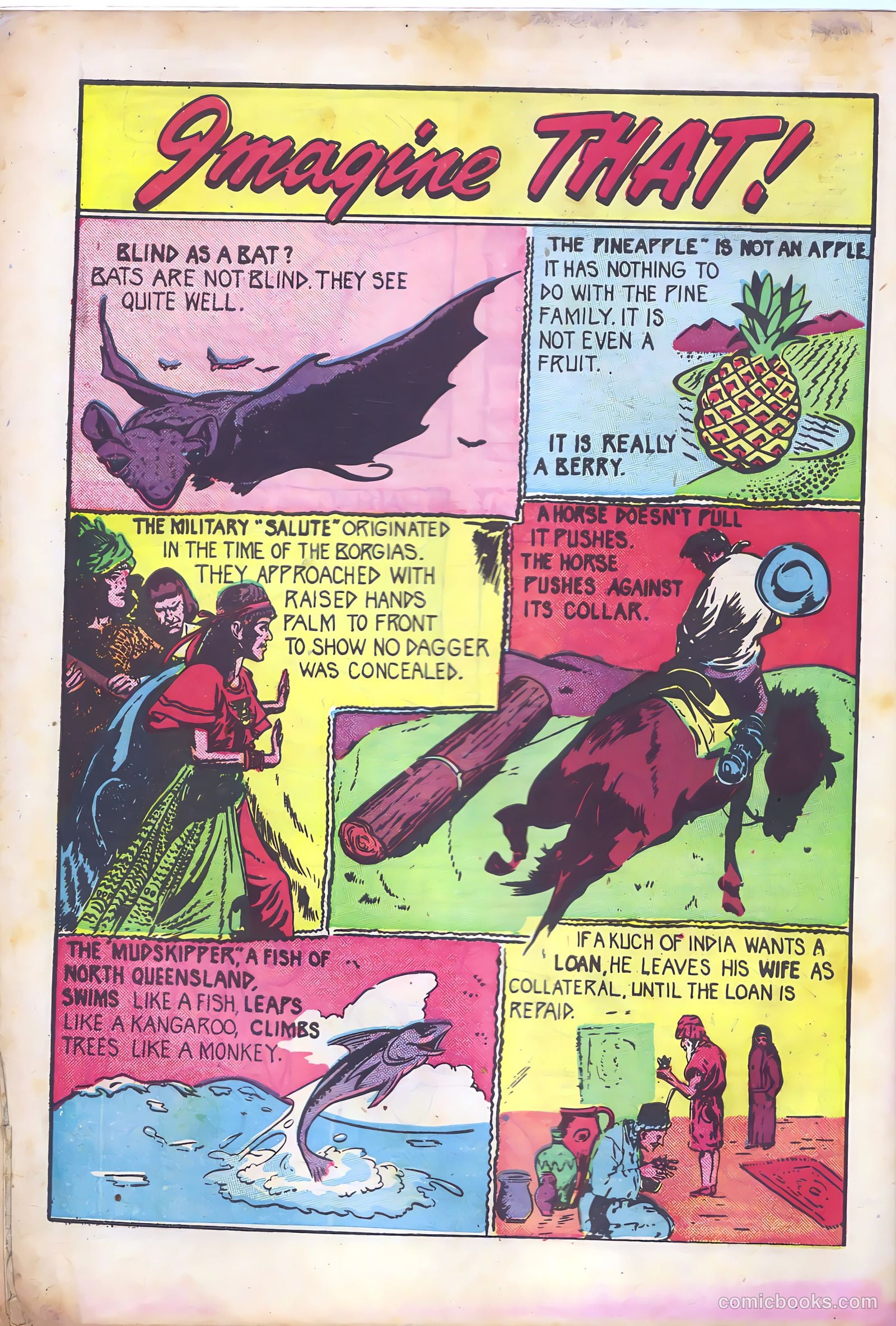 All Top Comics #2 — page 34 of 36