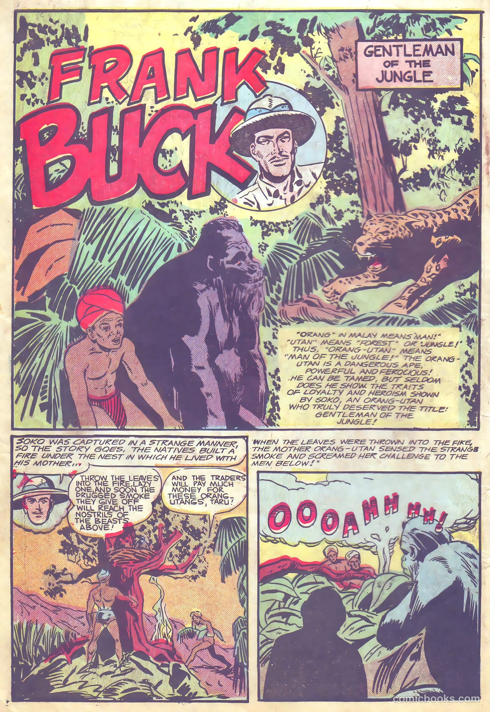 Frank Buck #1 — page 10 of 36