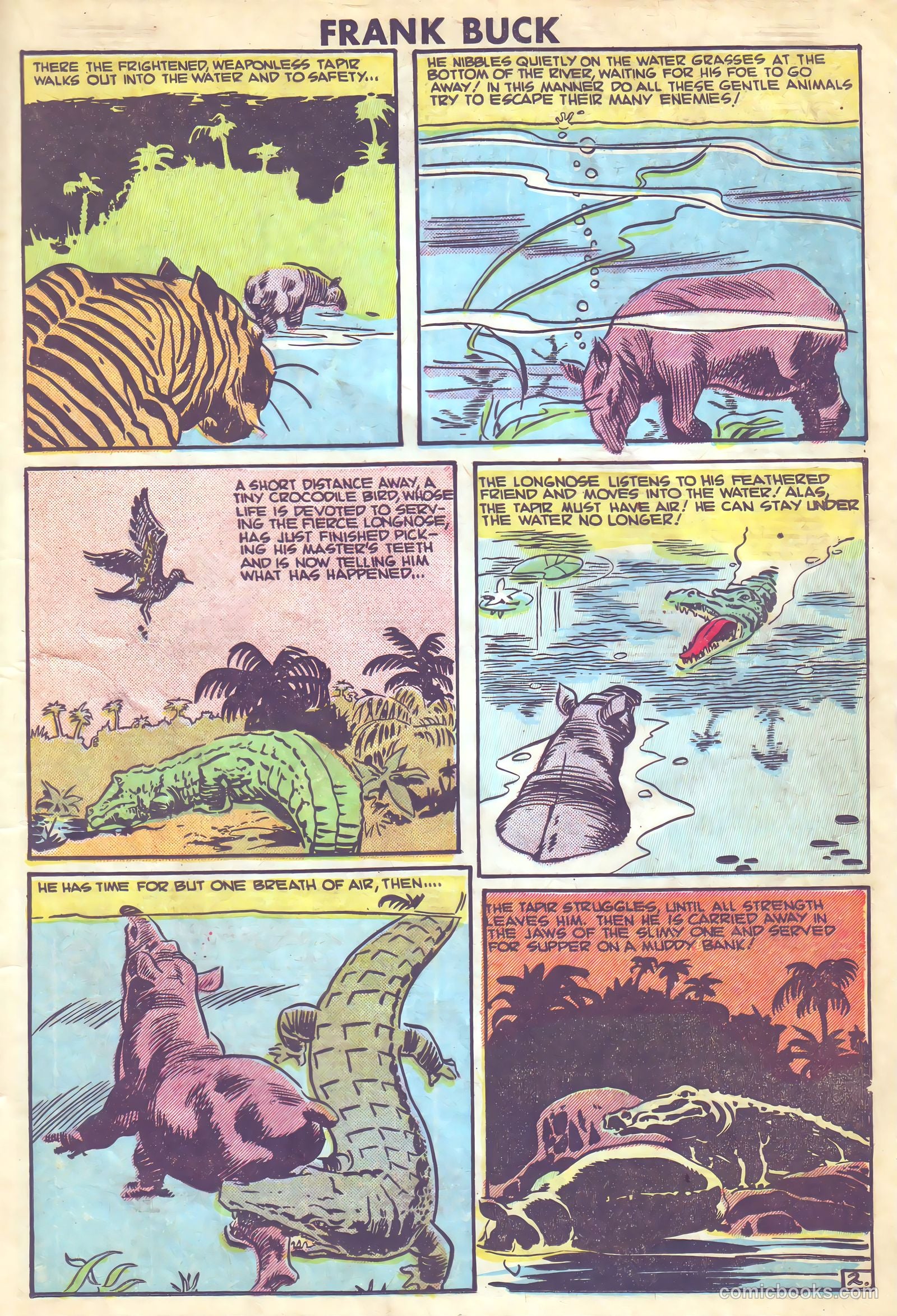 Frank Buck #1 — page 19 of 36