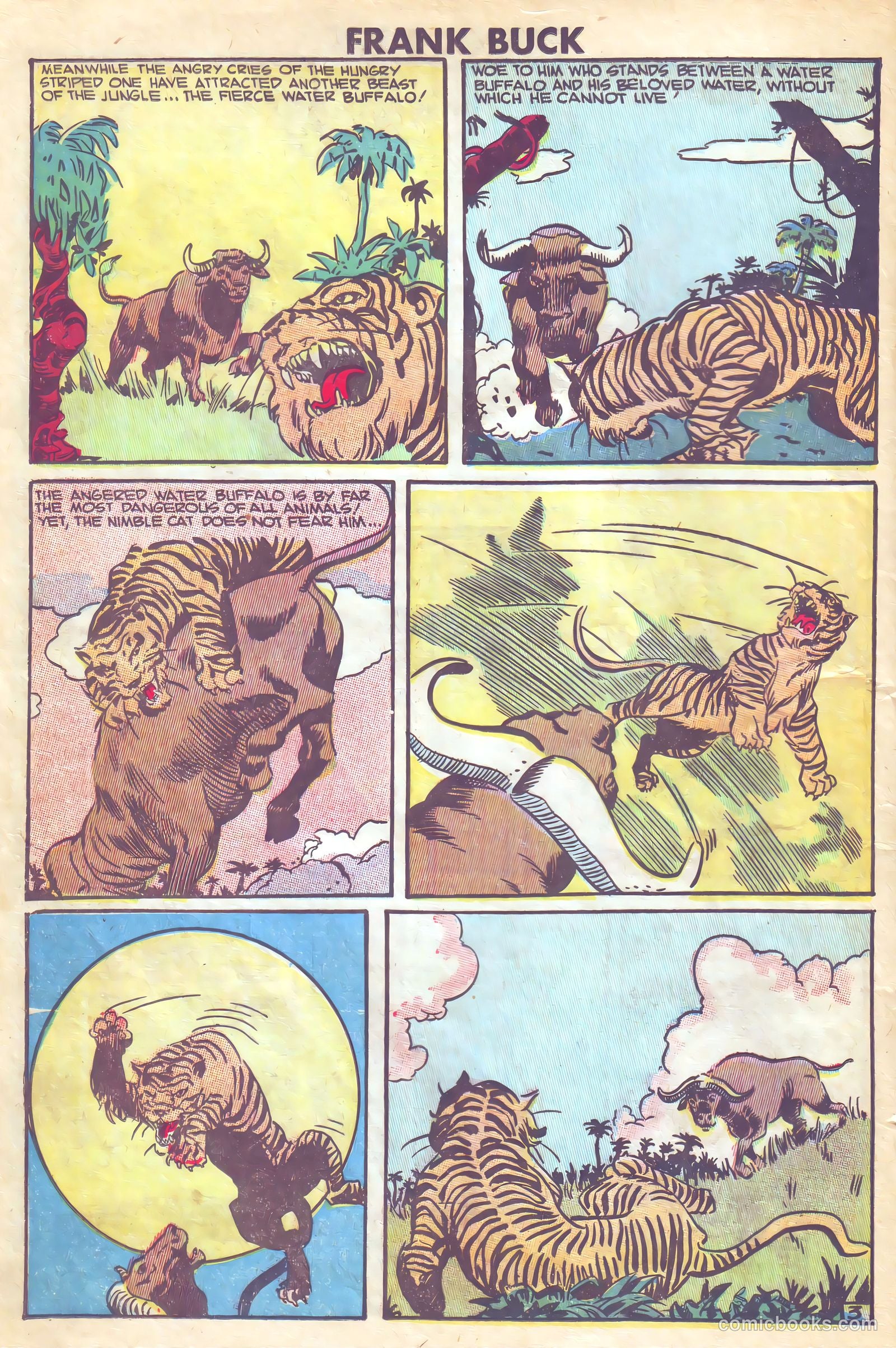Frank Buck #1 — page 20 of 36