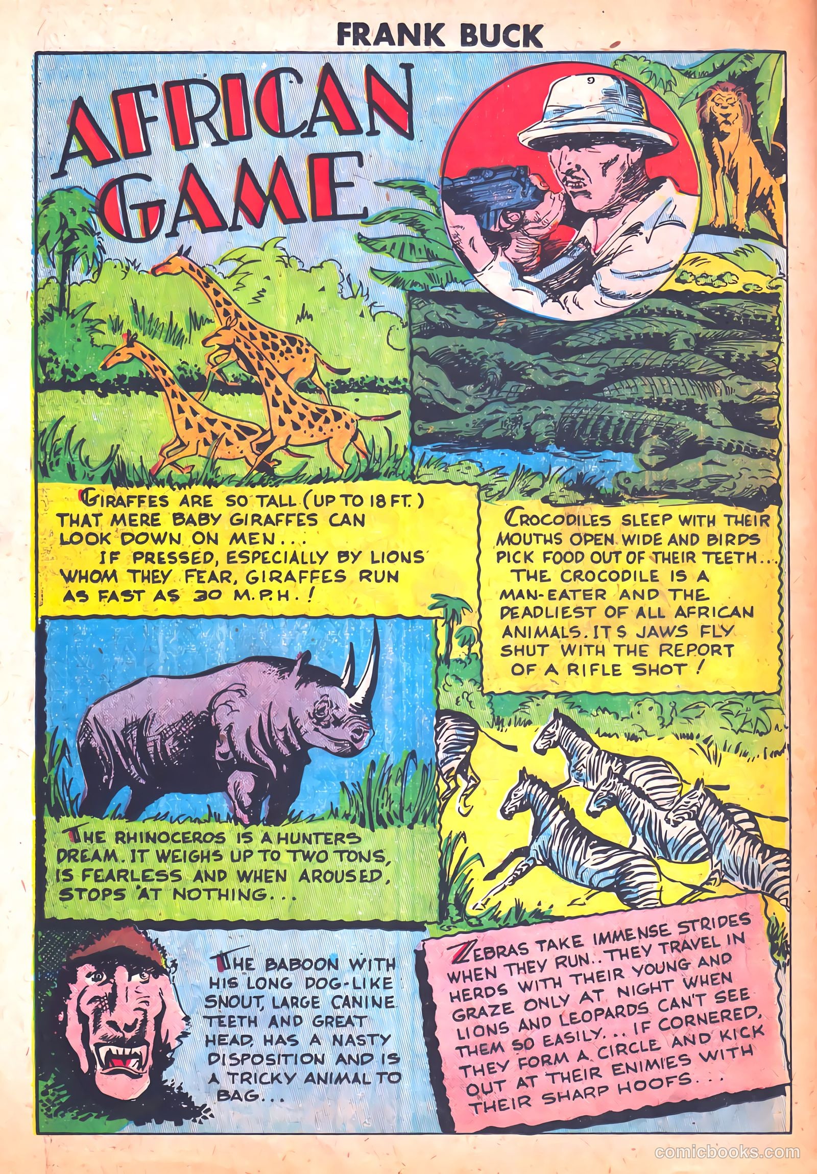 Frank Buck #3 — page 14 of 36