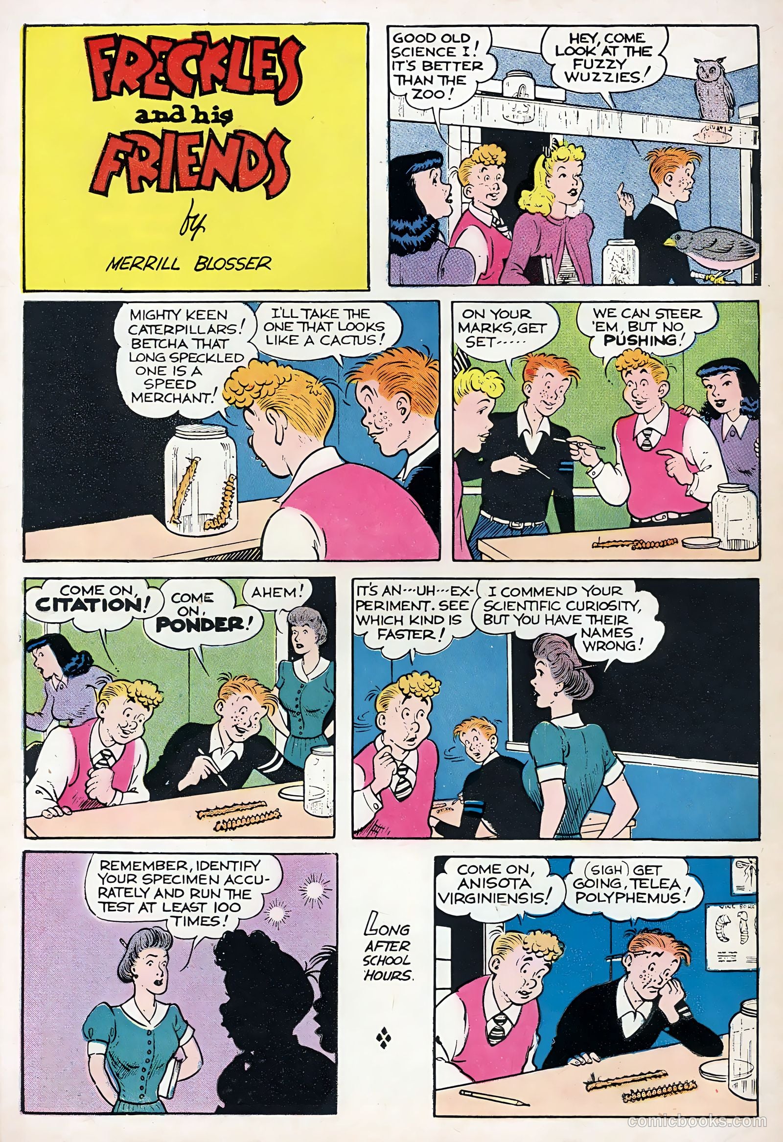 Freckles and His Friends #1 — page 36 of 36