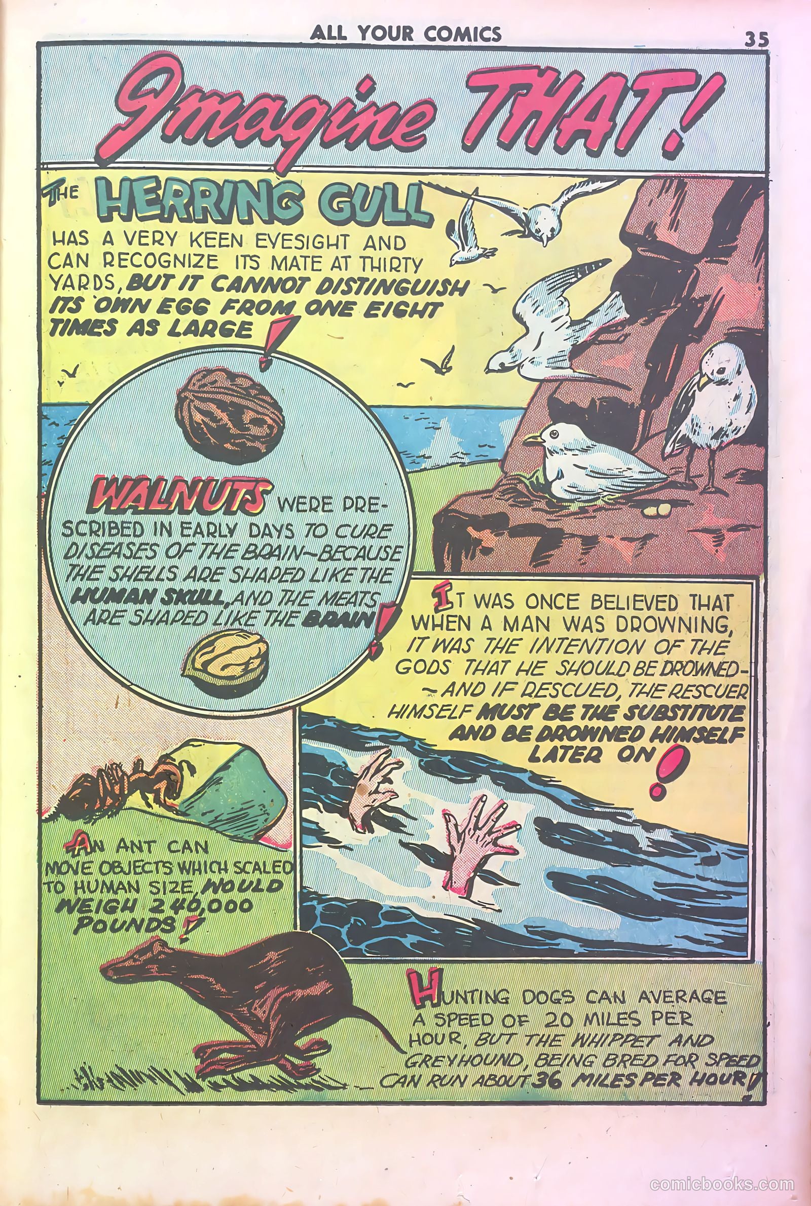 All Your Comics #1 — page 37 of 131