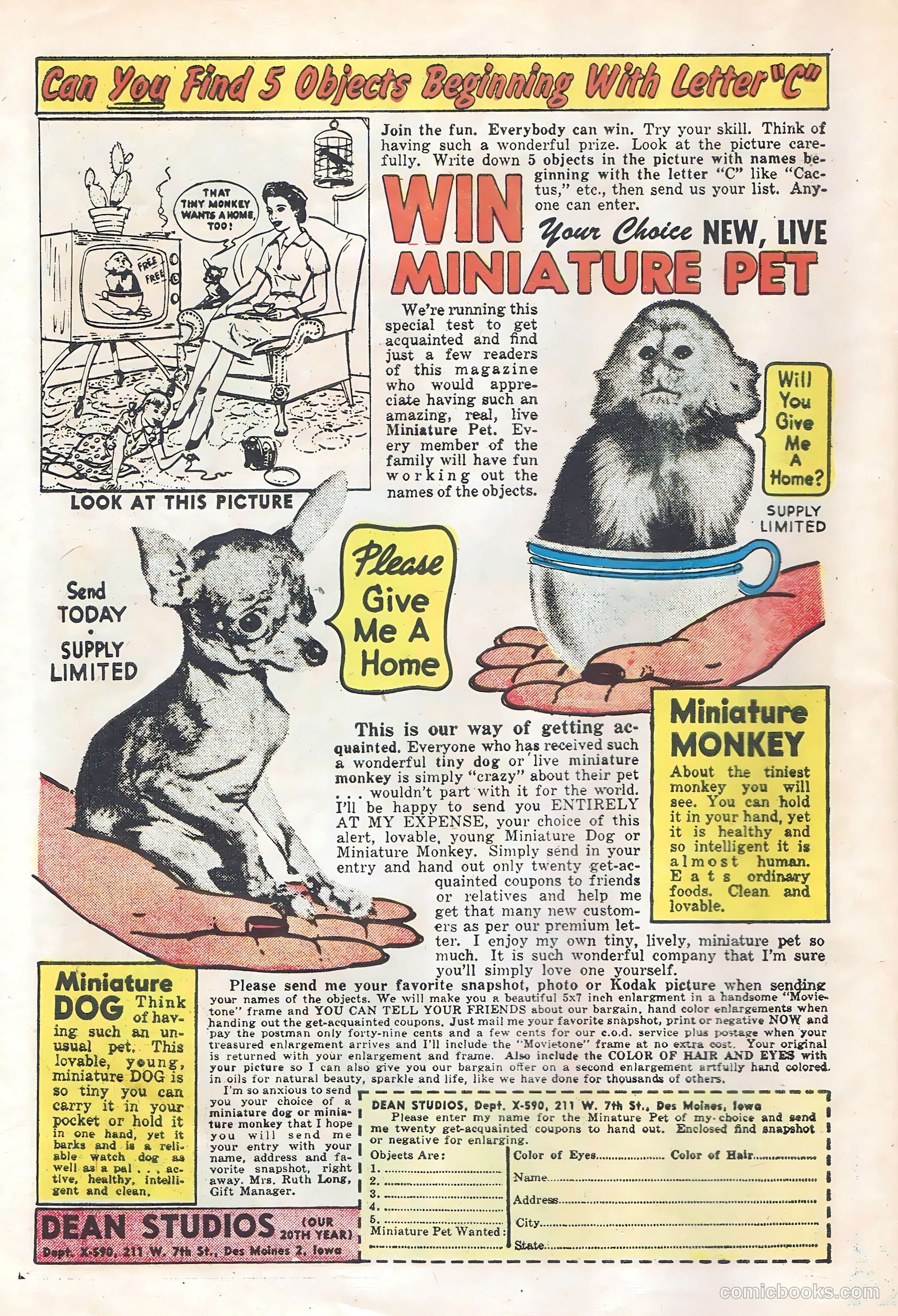 Freddy #1 — page 6 of 35