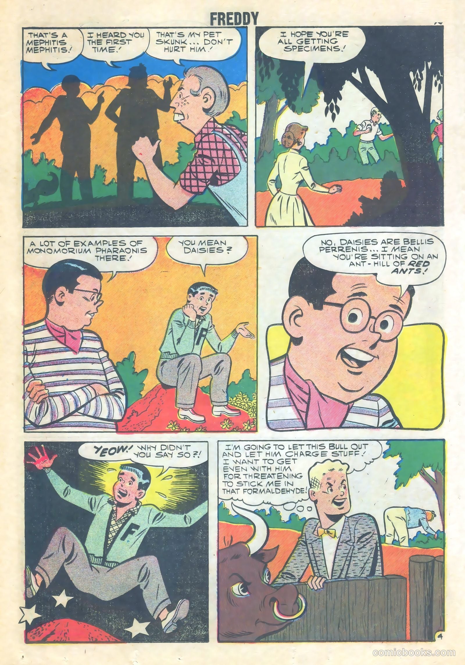 Freddy #16 — page 18 of 36