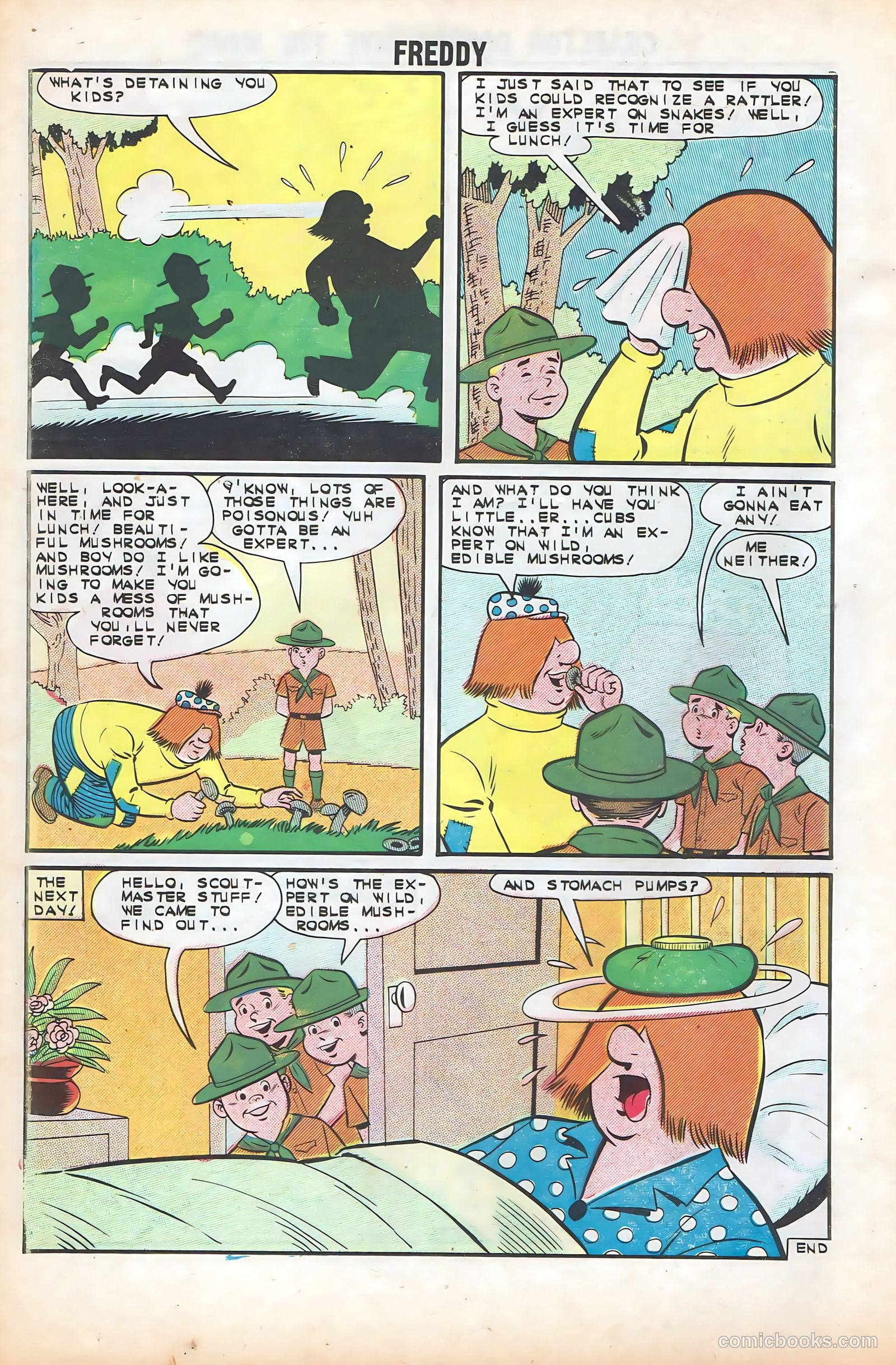 Freddy #38 — page 18 of 36