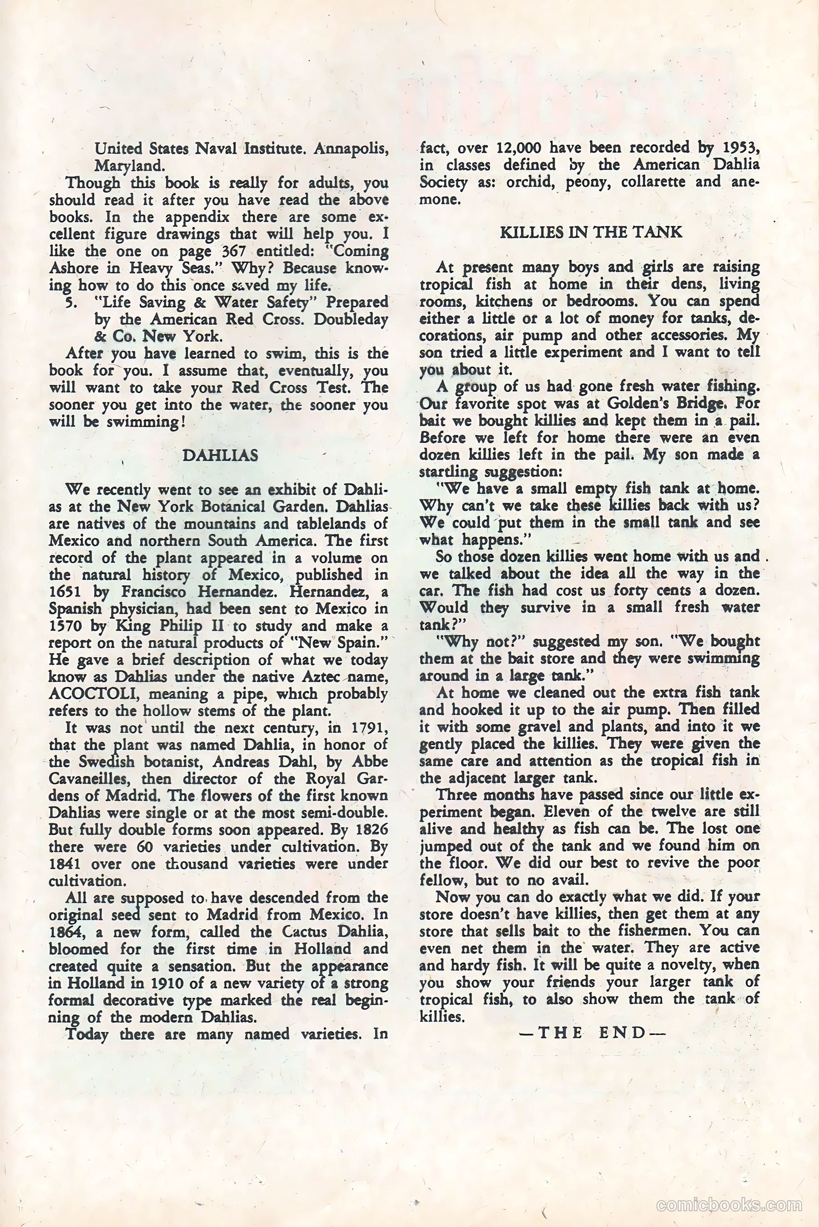Freddy #40 — page 25 of 36