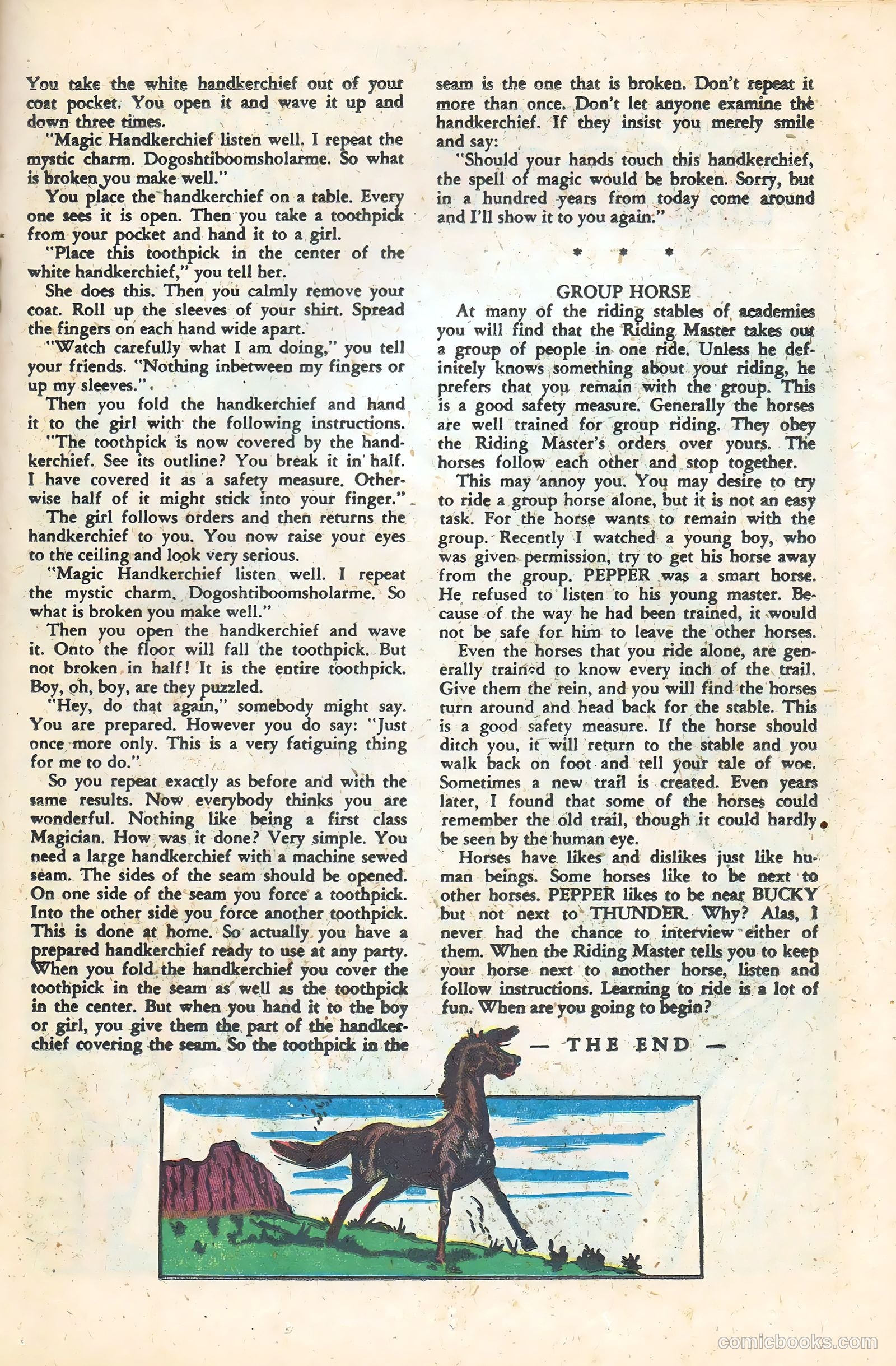 Freddy #8 — page 19 of 36