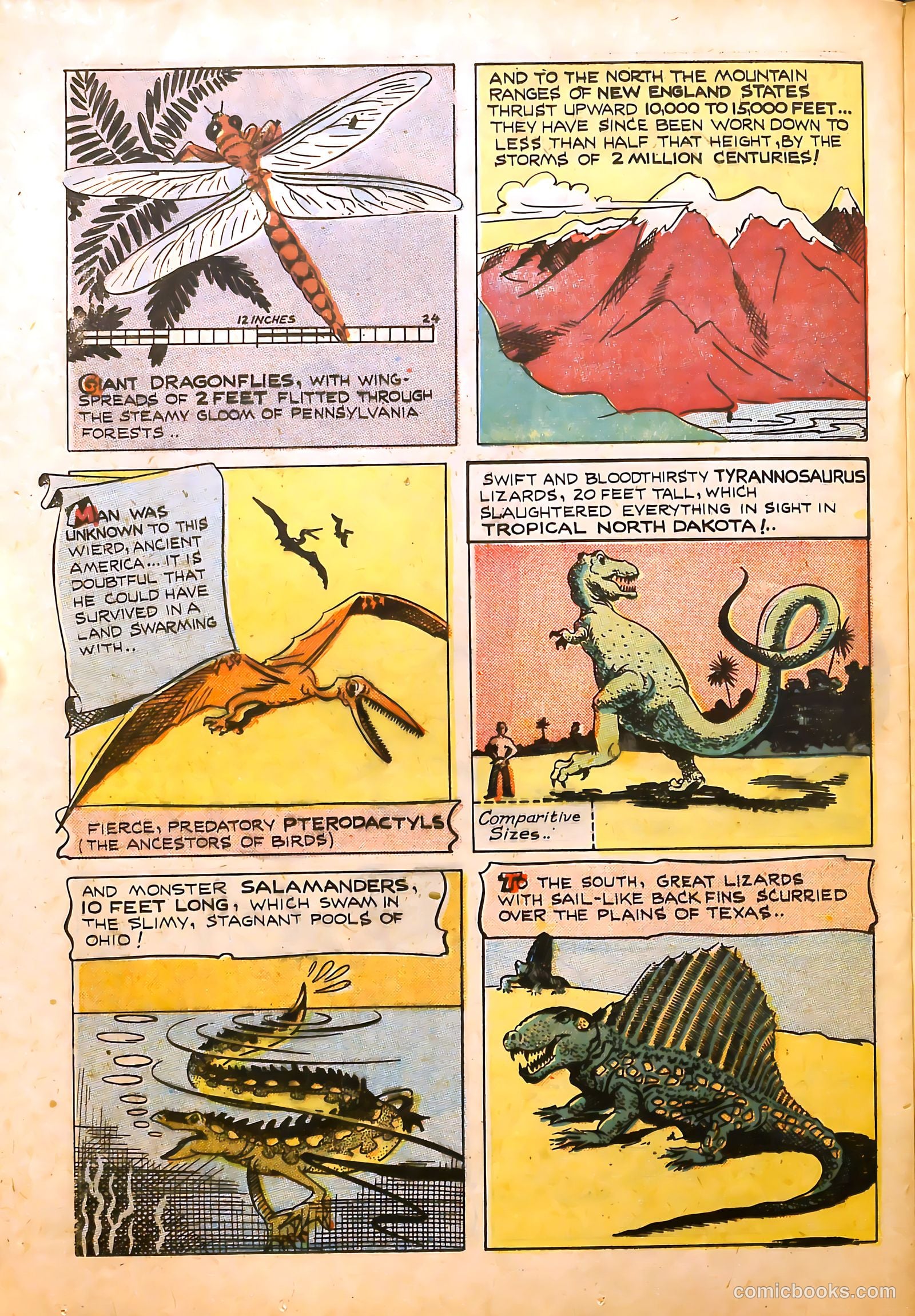 Frisky Animals #48 — page 23 of 33