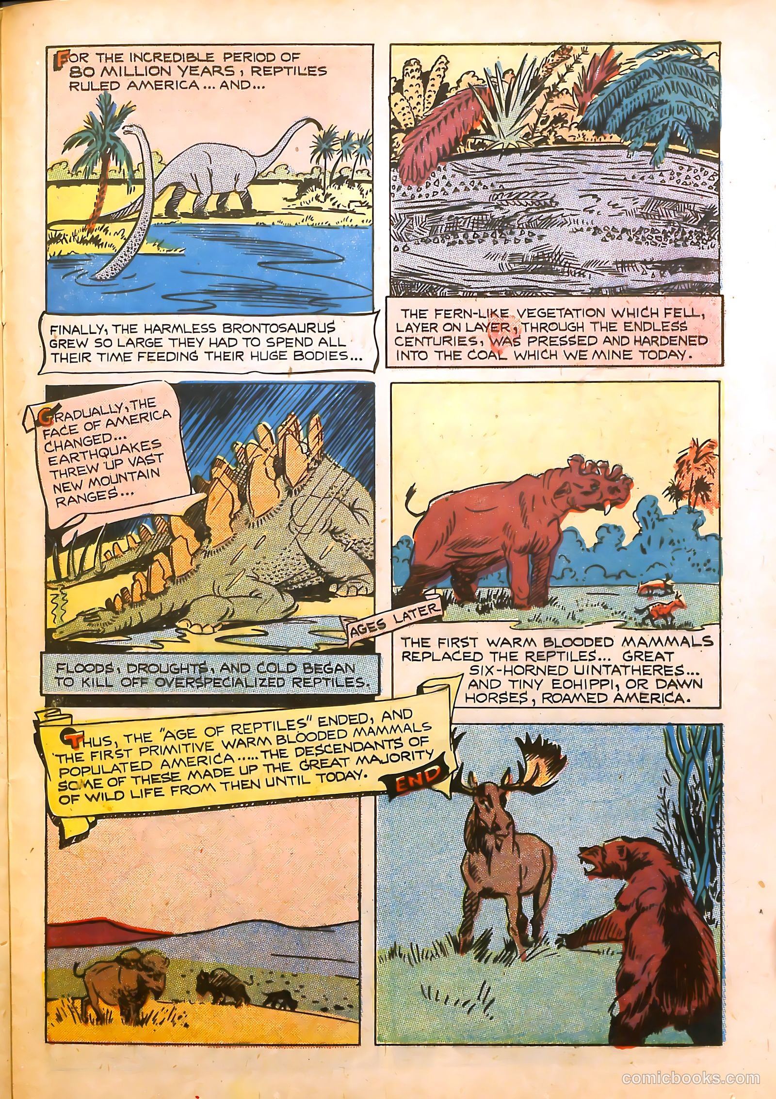 Frisky Animals #48 — page 24 of 33