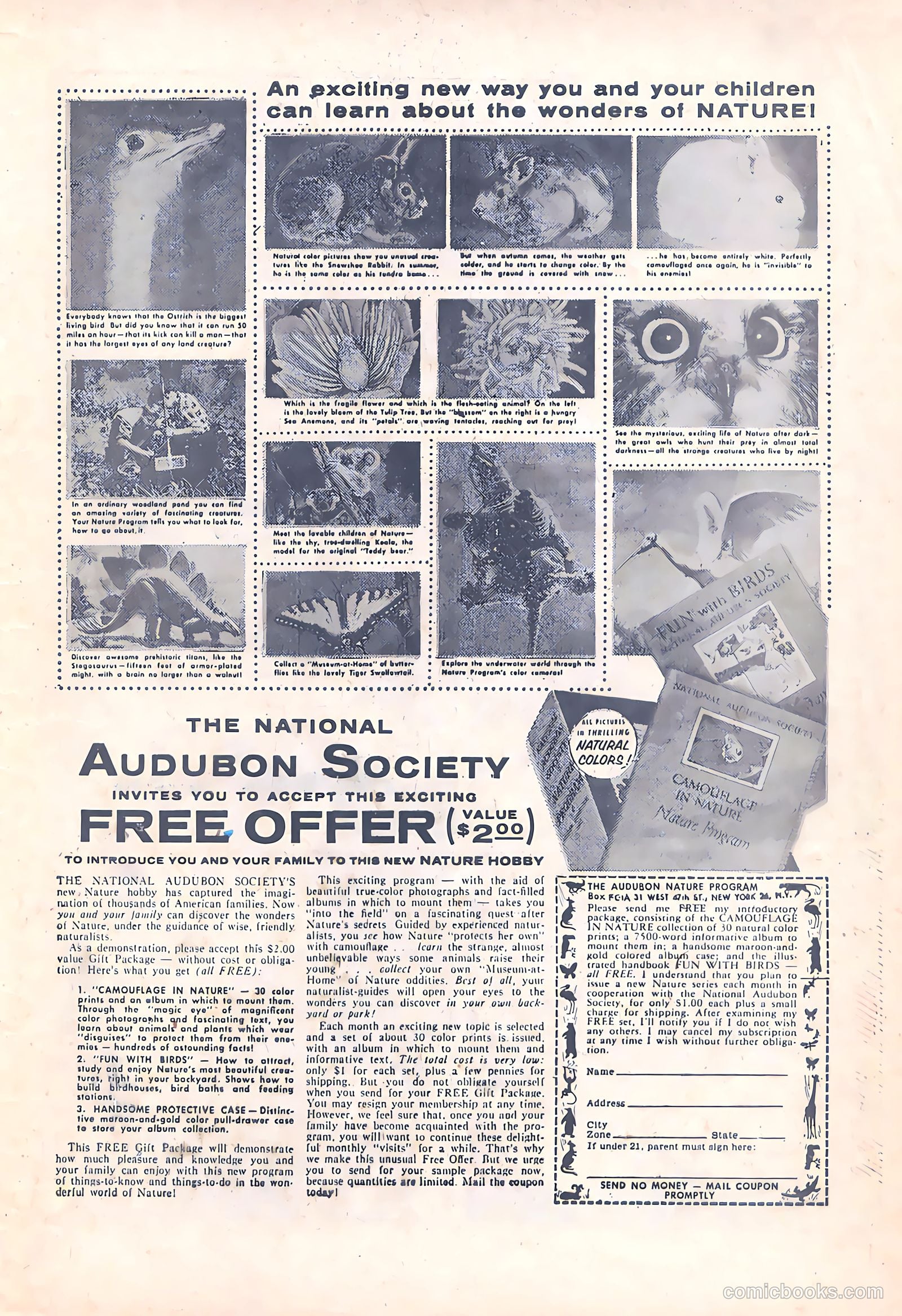 Frisky Animals on Parade #3 — page 29 of 36