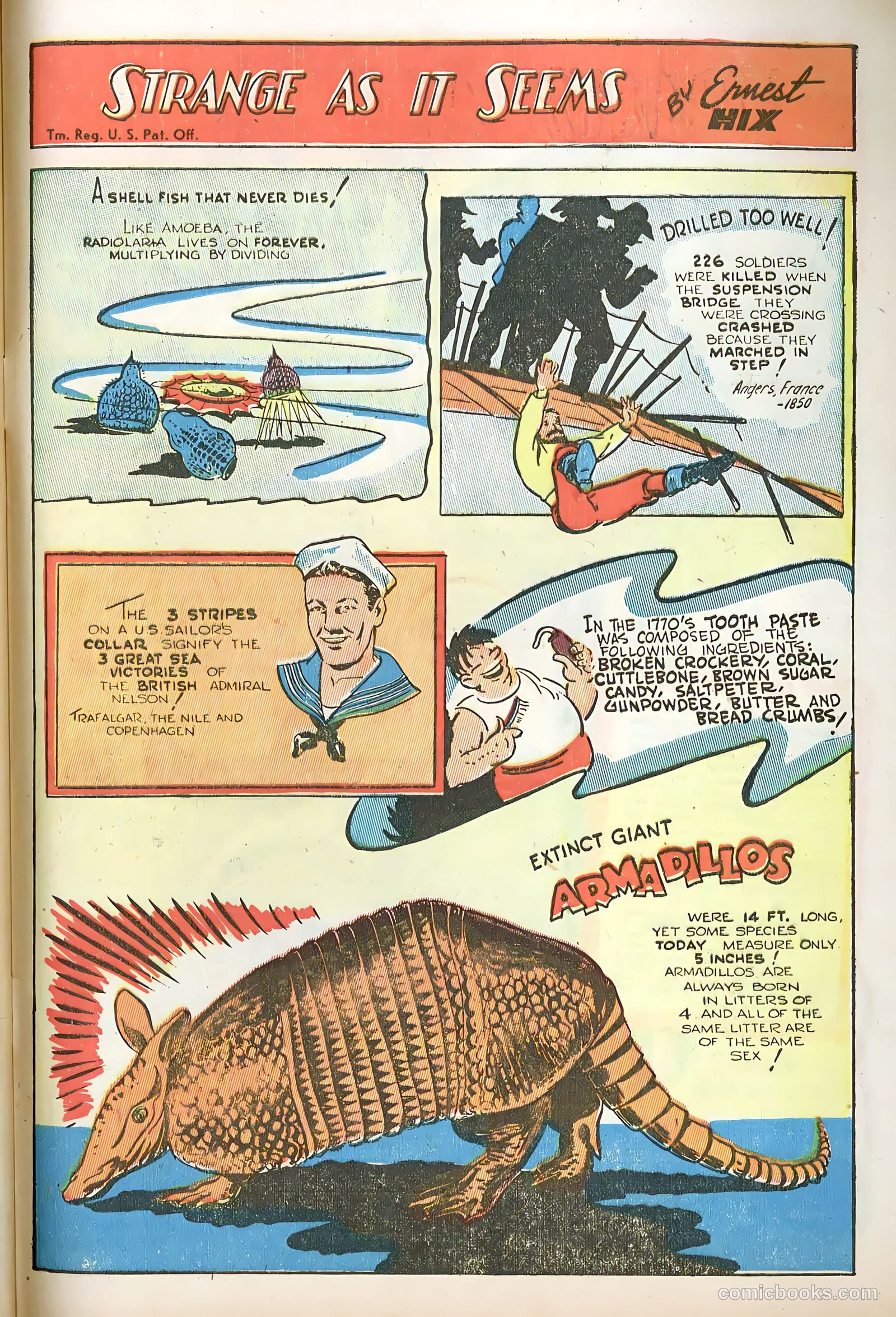 Fritzi Ritz #3 — page 33 of 36