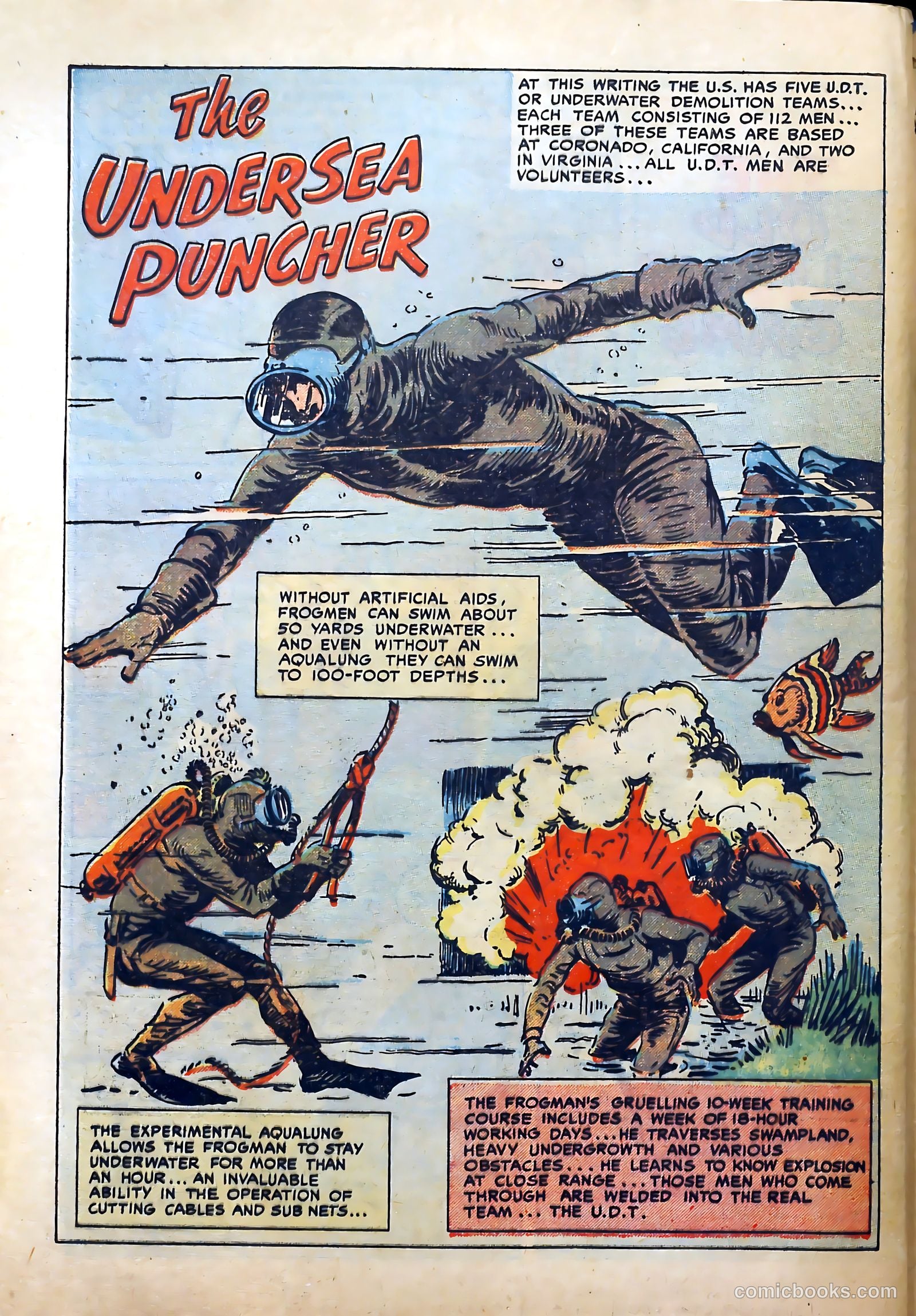 Frogman #11 — page 28 of 38