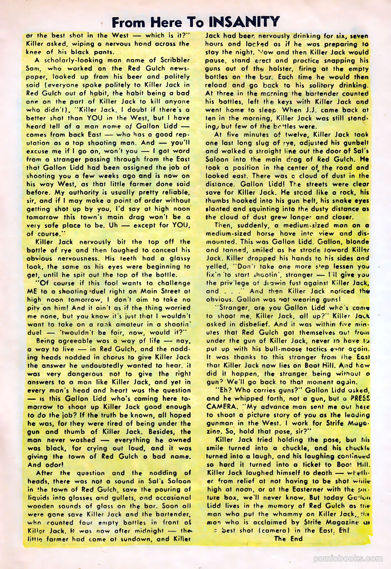 From Here to Insanity #8 — page 17 of 36