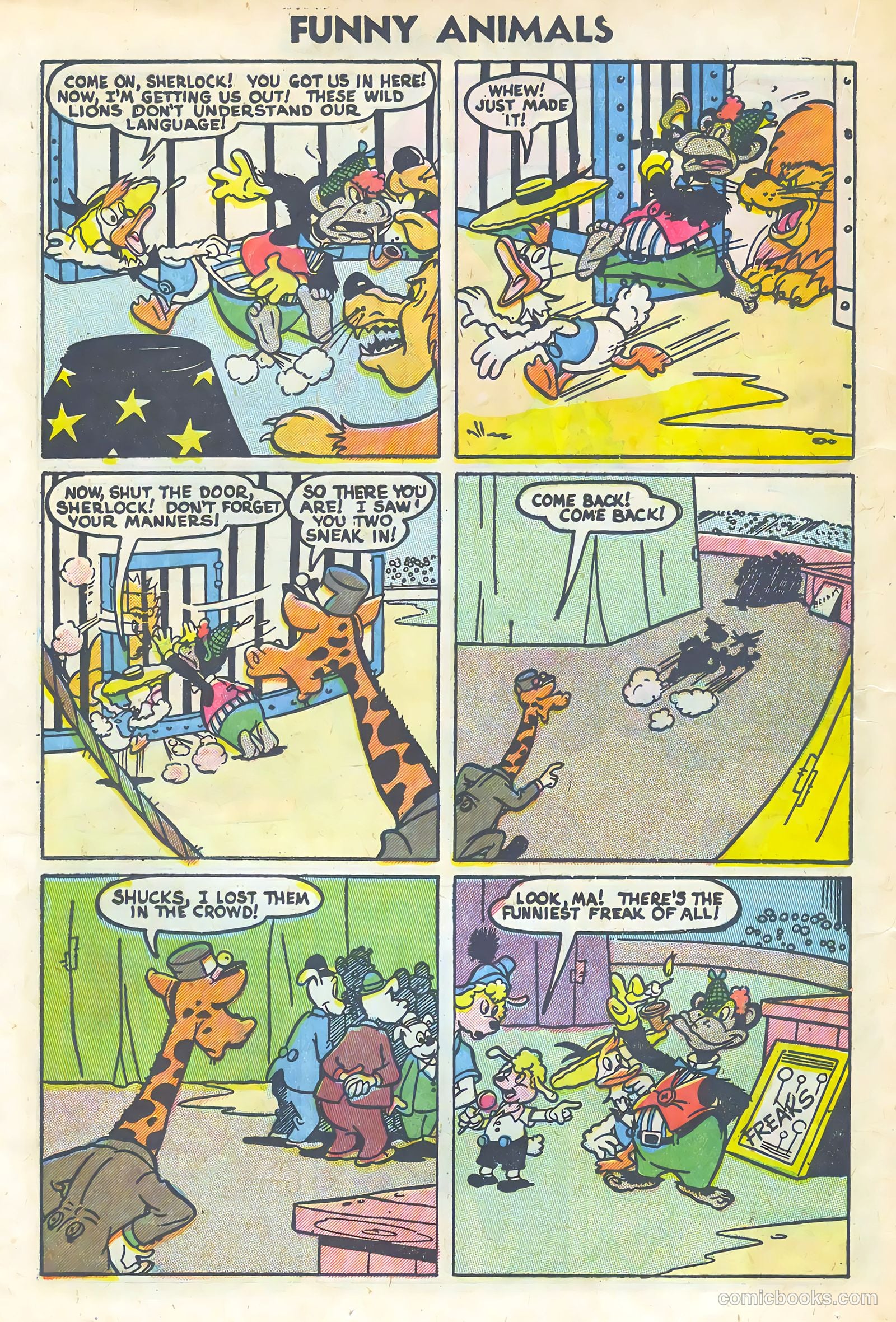 Funny Animals #89 — page 20 of 36