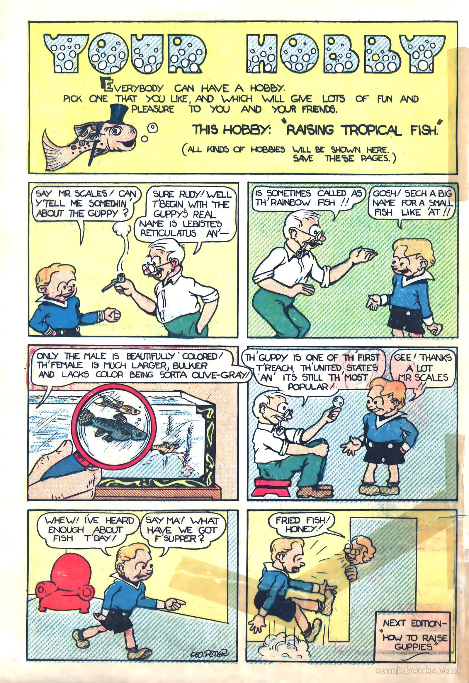 Funny Pages #12 — page 46 of 49