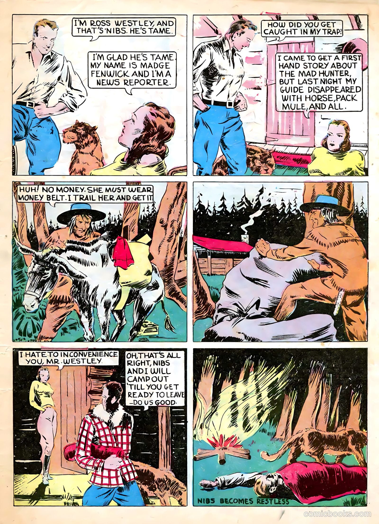 Funny Picture Stories #1 — page 54 of 56