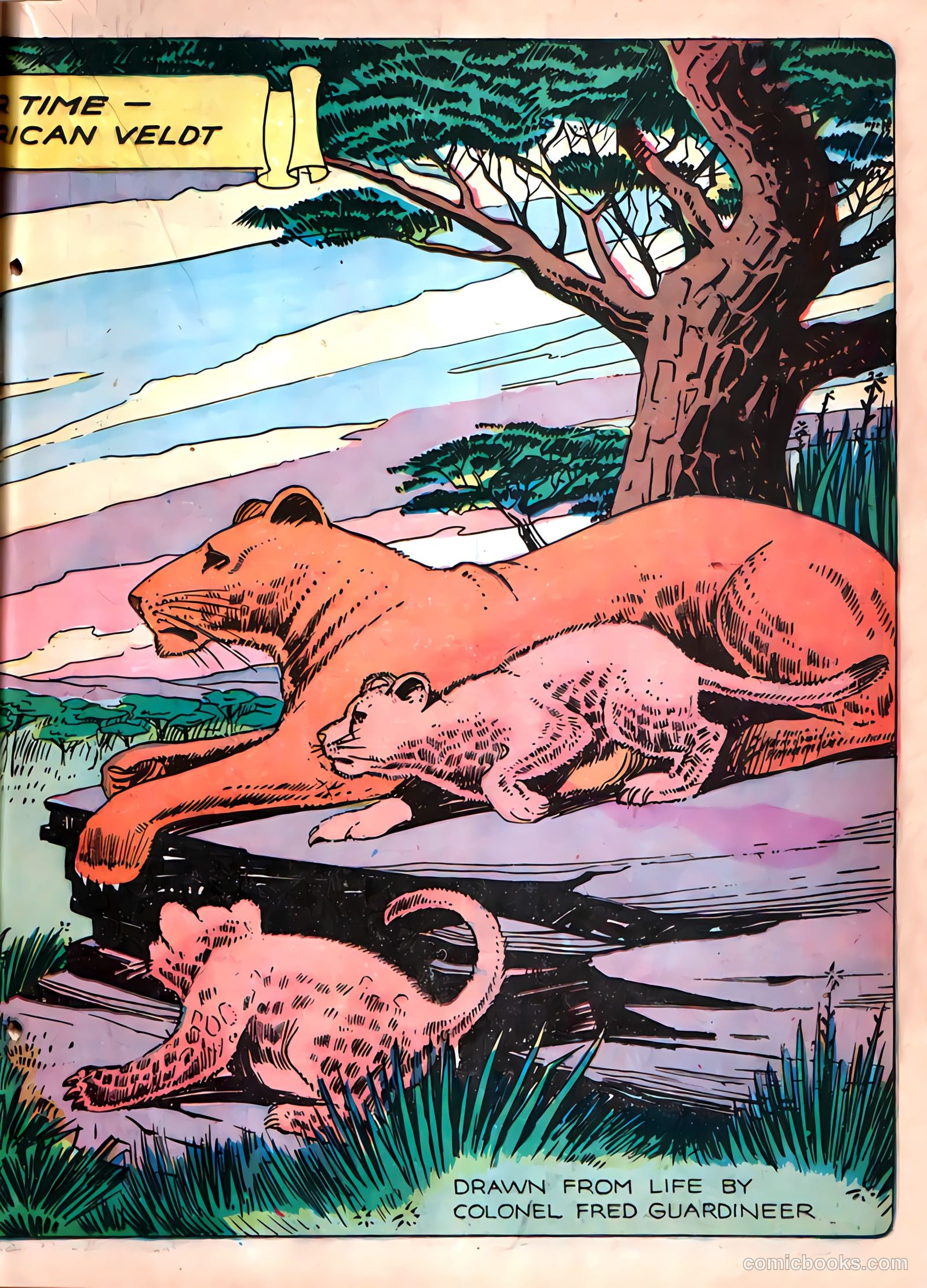 Funny Picture Stories #2 — page 36 of 69