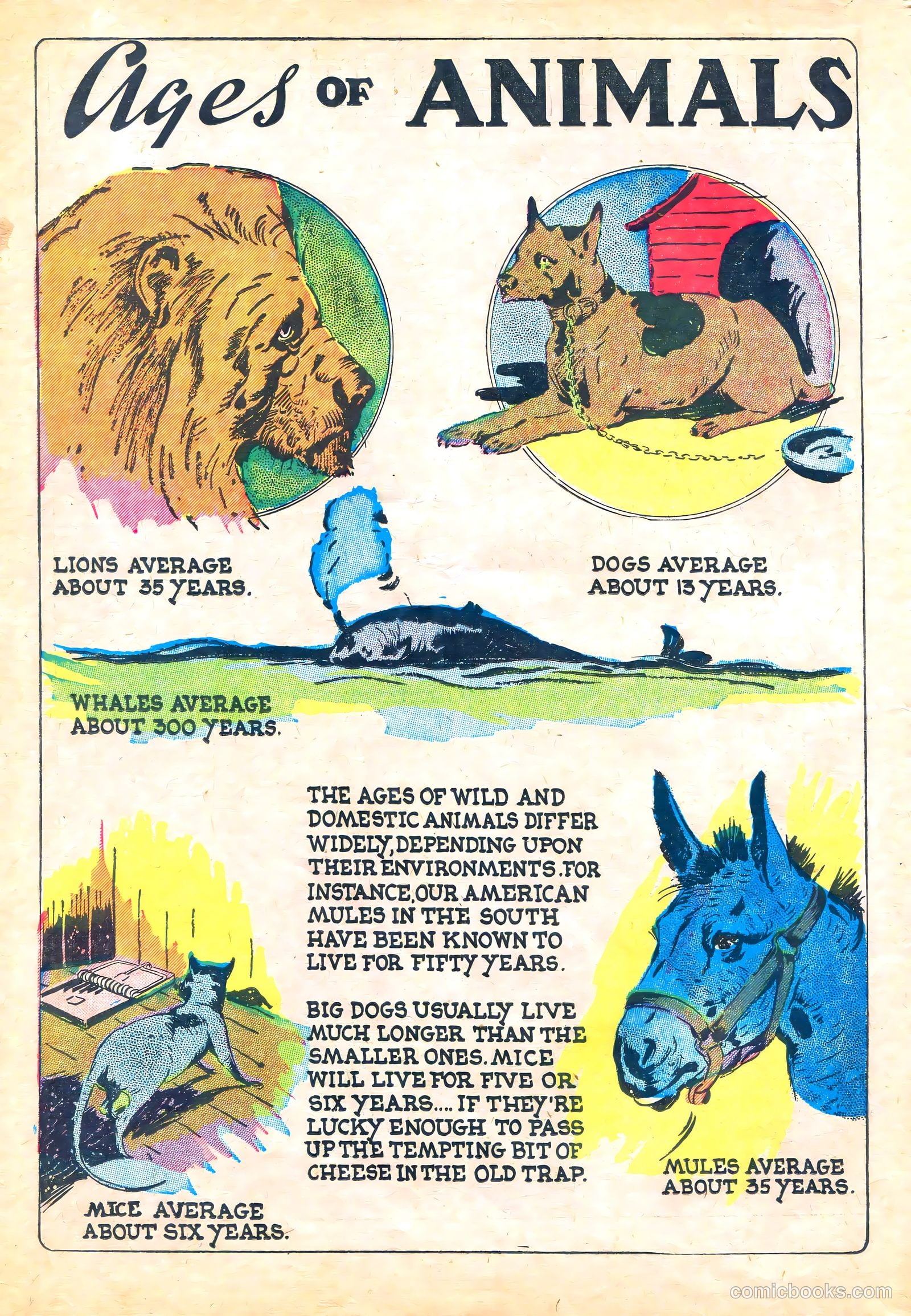 Funny Picture Stories #5 — page 66 of 68