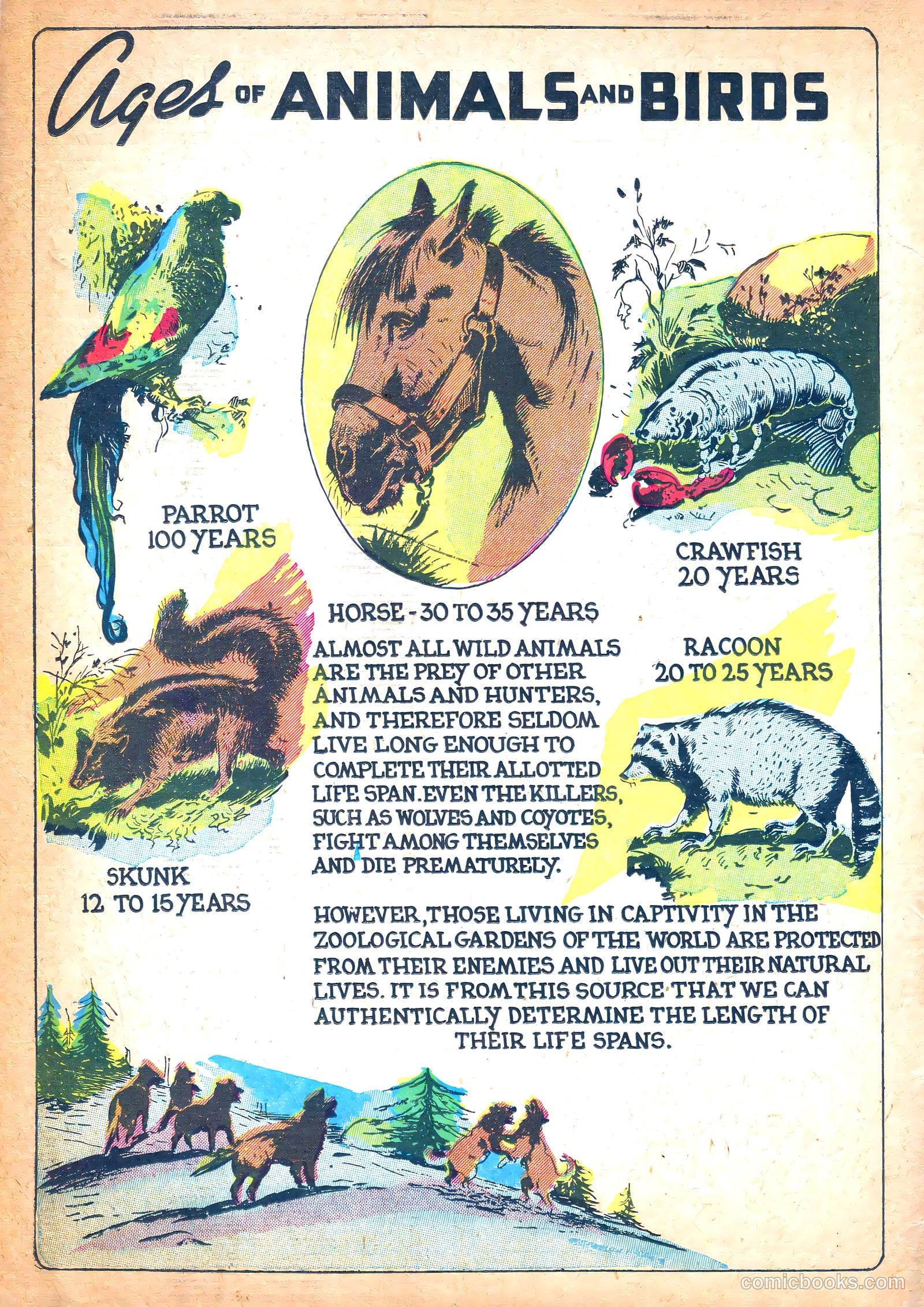 Funny Picture Stories #6 — page 65 of 67