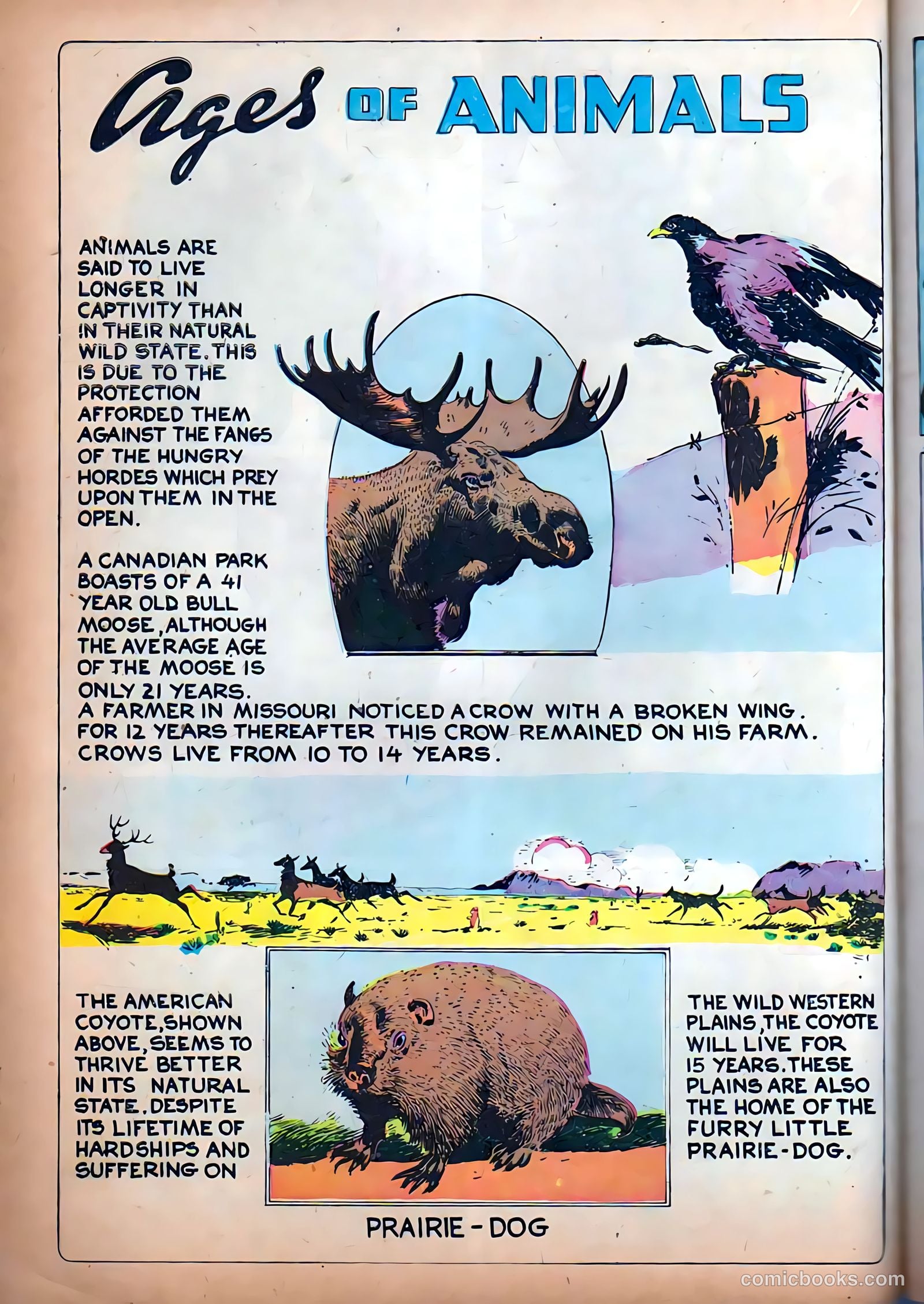 Funny Picture Stories #9 — page 18 of 53