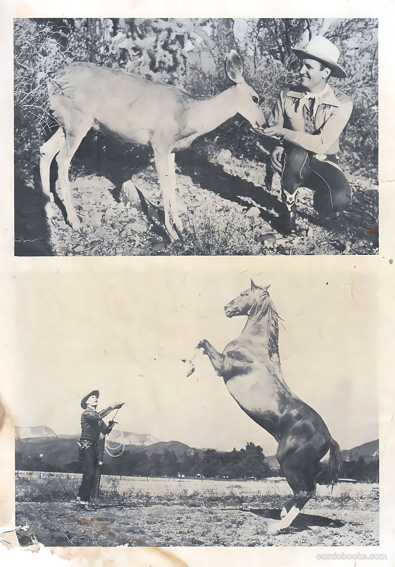 Gene Autry Comics #11 — page 35 of 36
