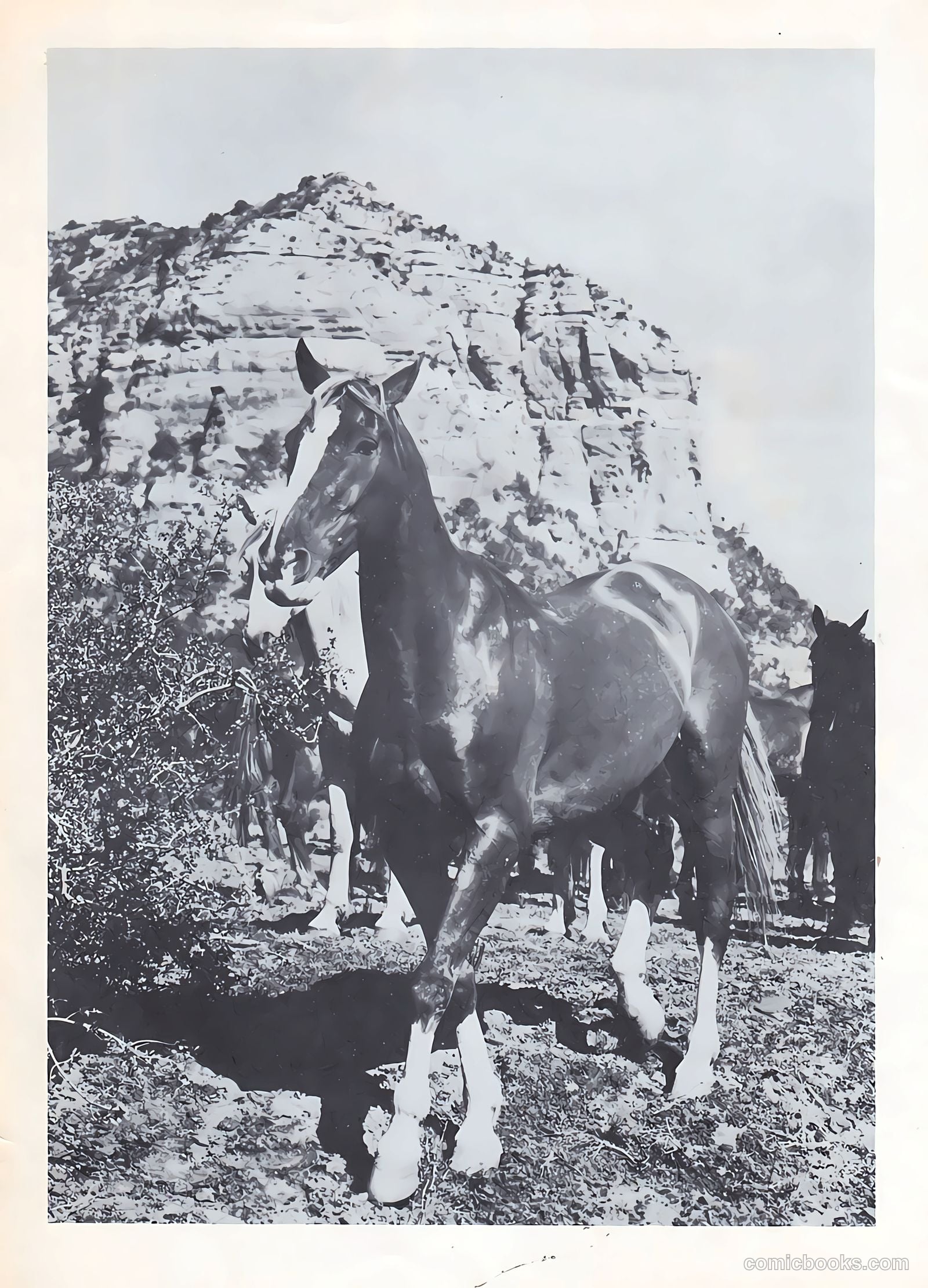 Gene Autry Comics #20 — page 35 of 36