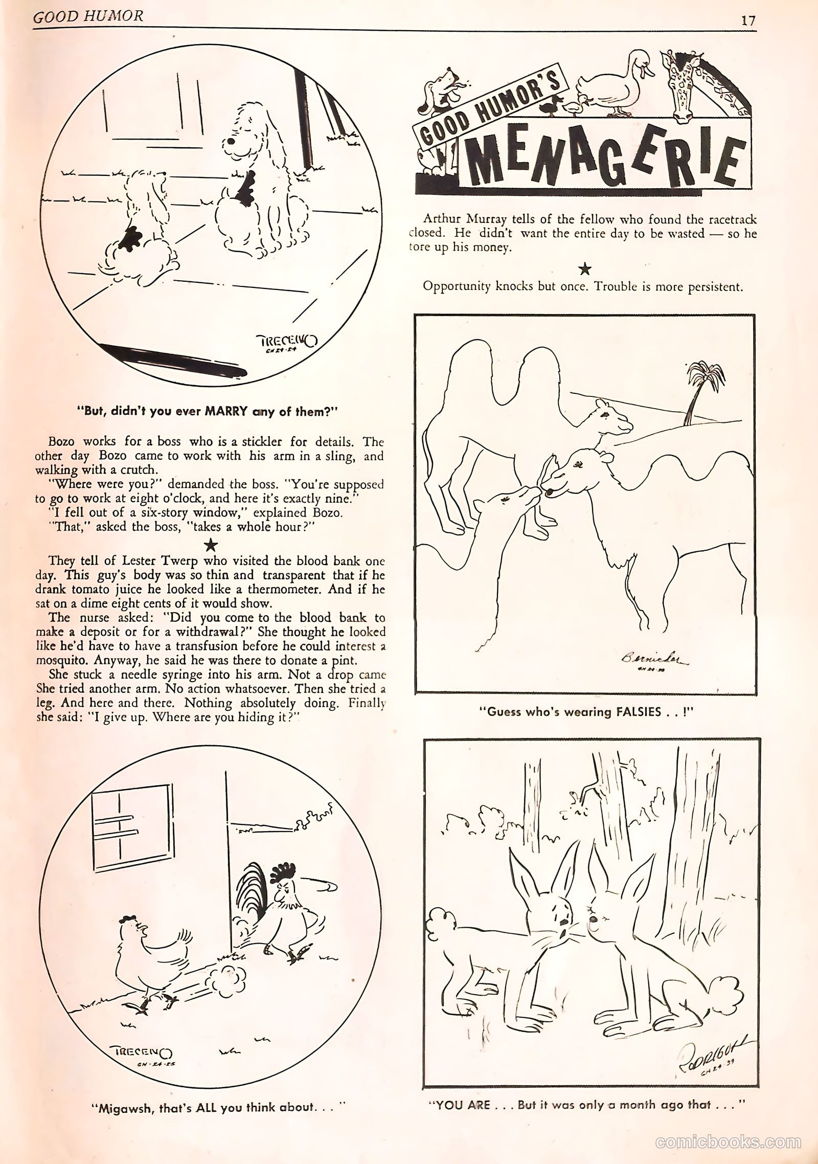 Good Humor #24 — page 17 of 52