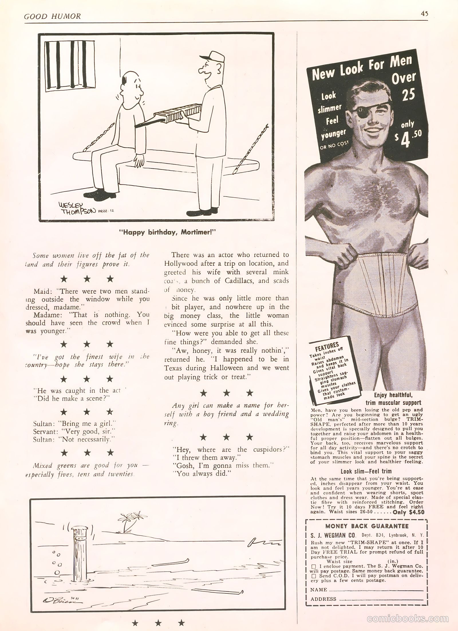 Good Humor #34 — page 45 of 52