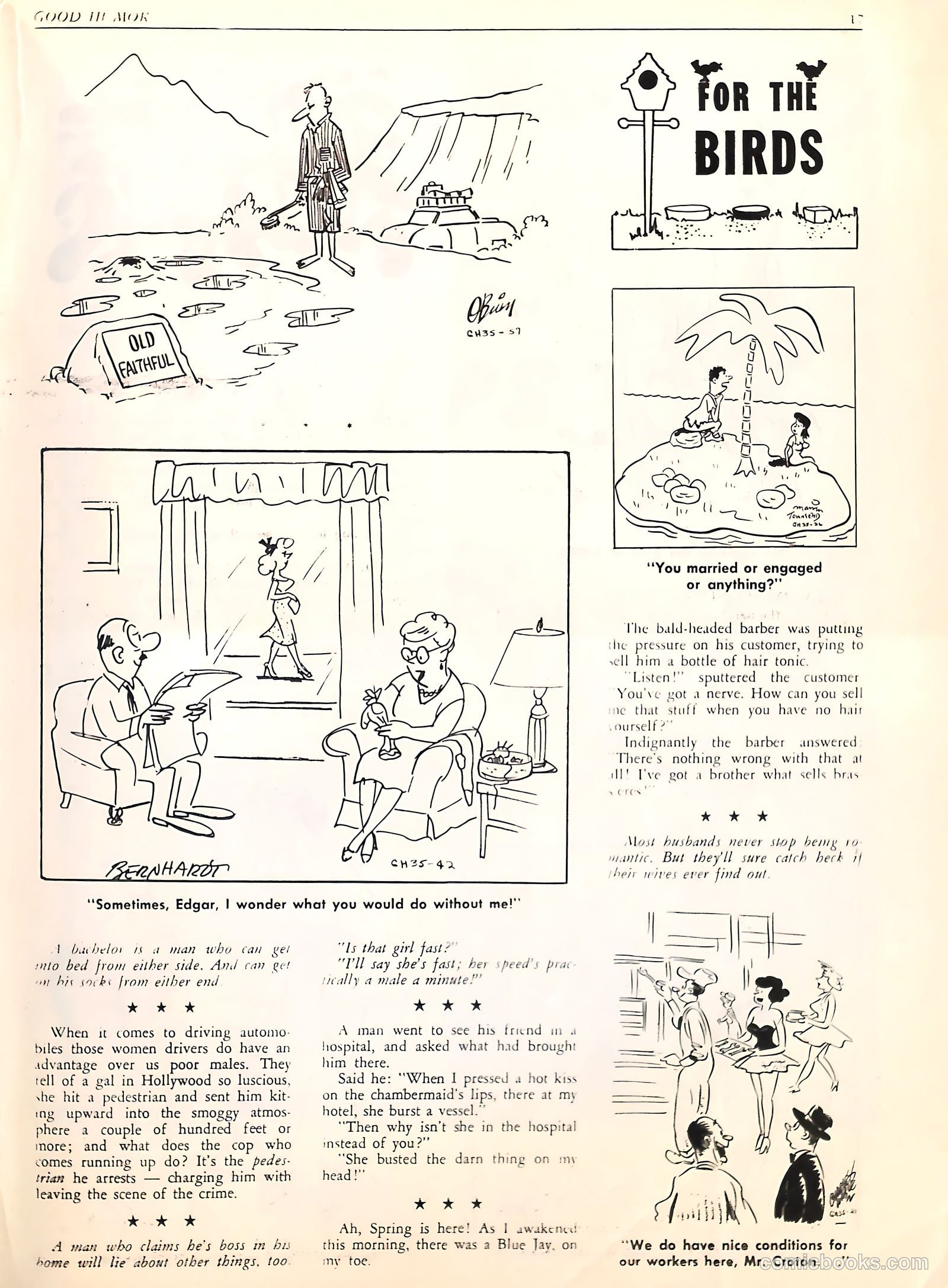 Good Humor #35 — page 17 of 52