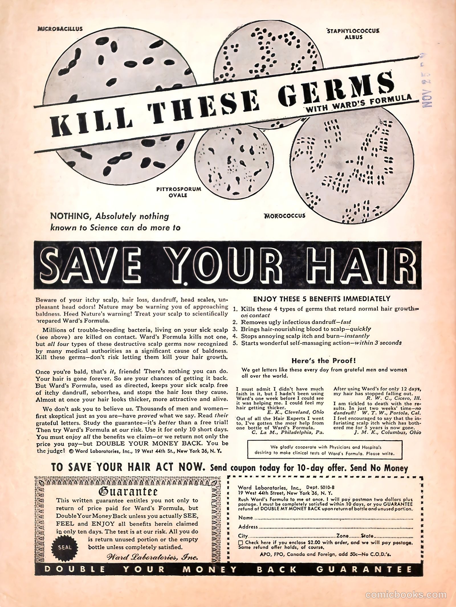 Good Humor #36 — page 51 of 51
