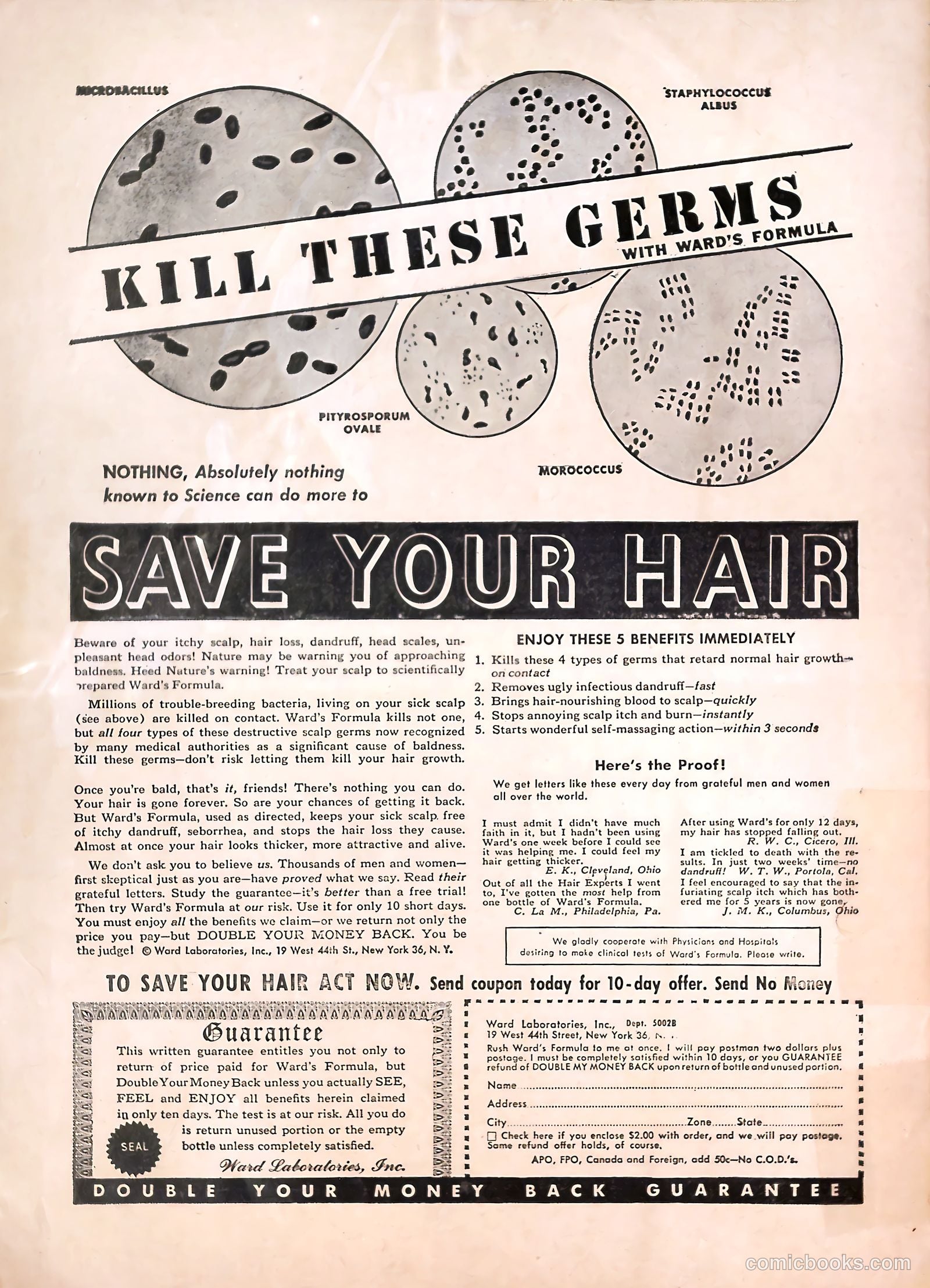 Good Humor #37 — page 51 of 51