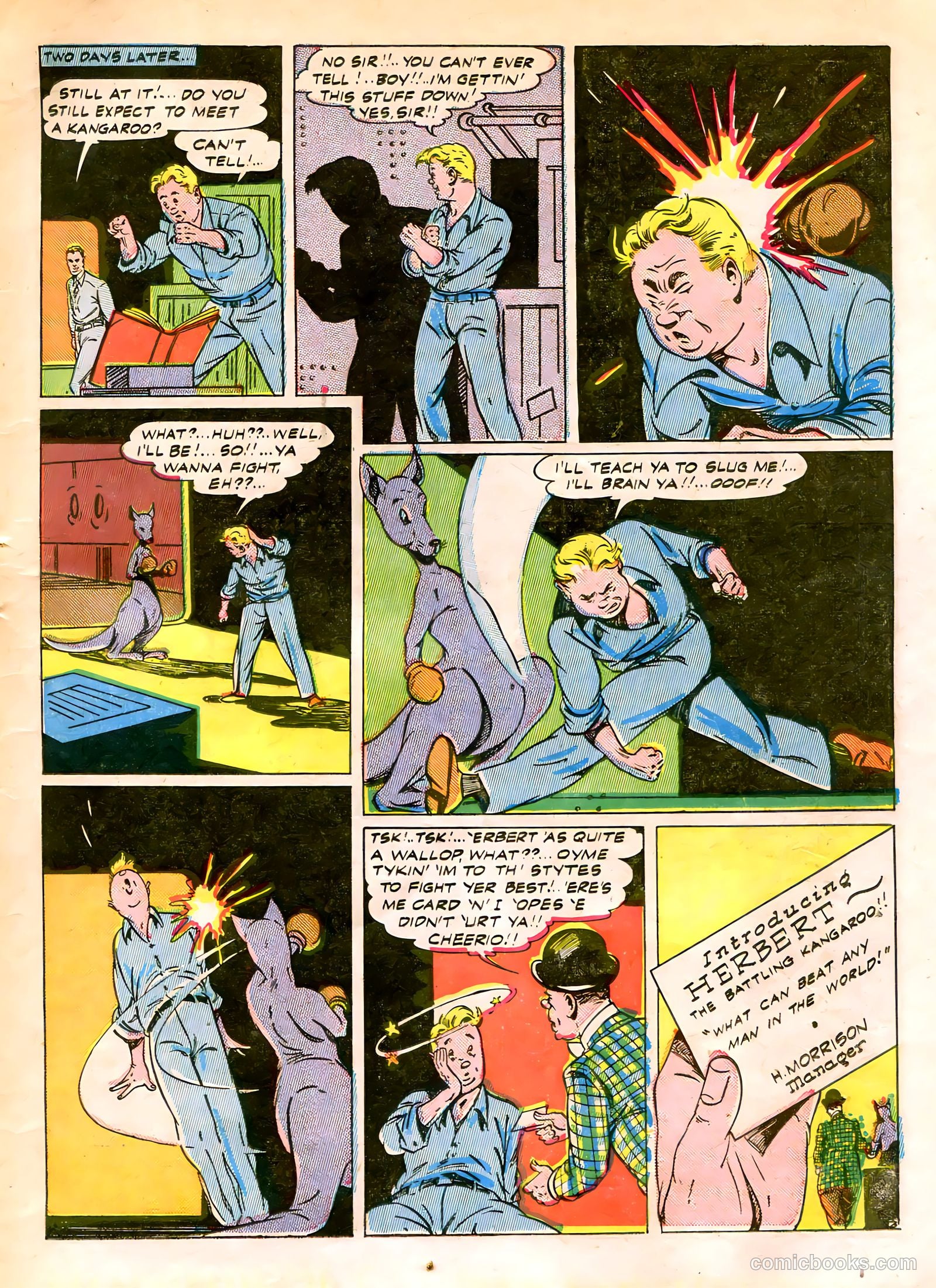 Green Hornet #19 — page 5 of 32