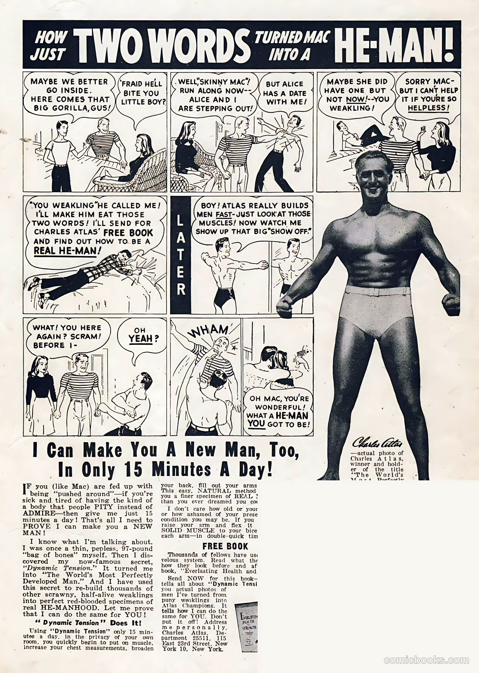 Hap Hazard Comics #6 — page 36 of 36