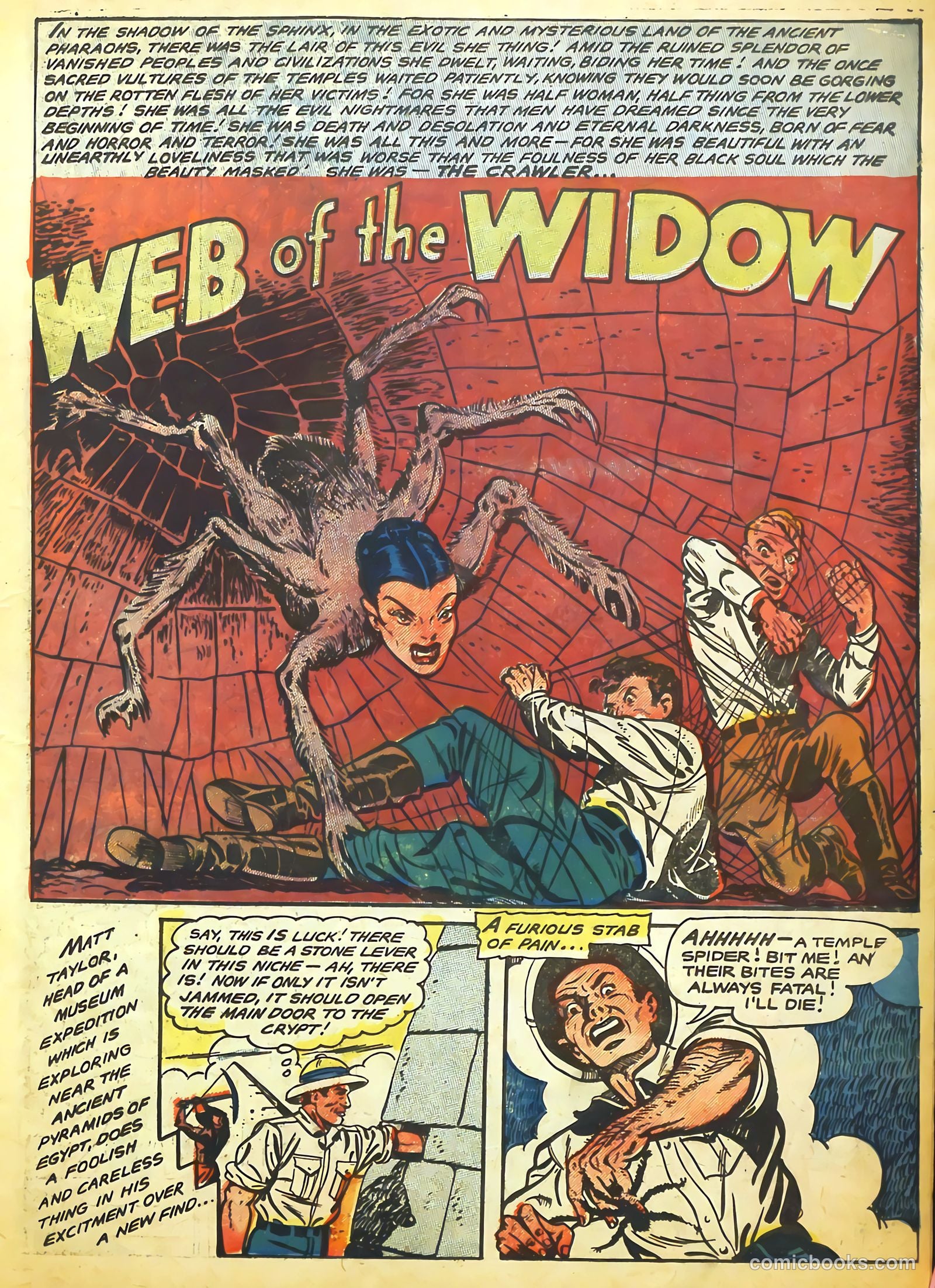 Haunted Thrills #16 — page 11 of 35