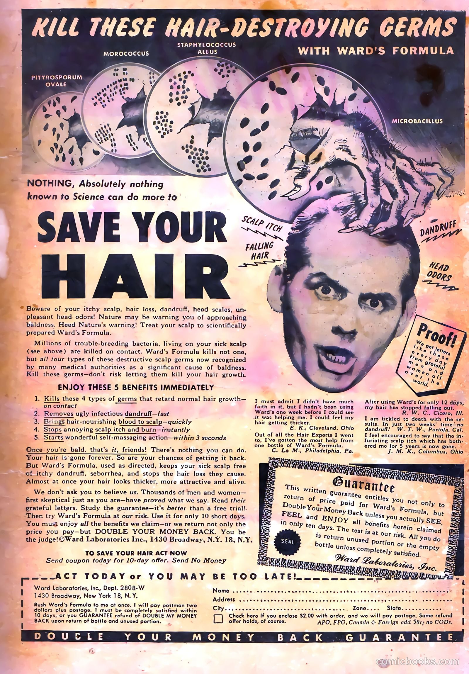Haunted Thrills #3 — page 35 of 36