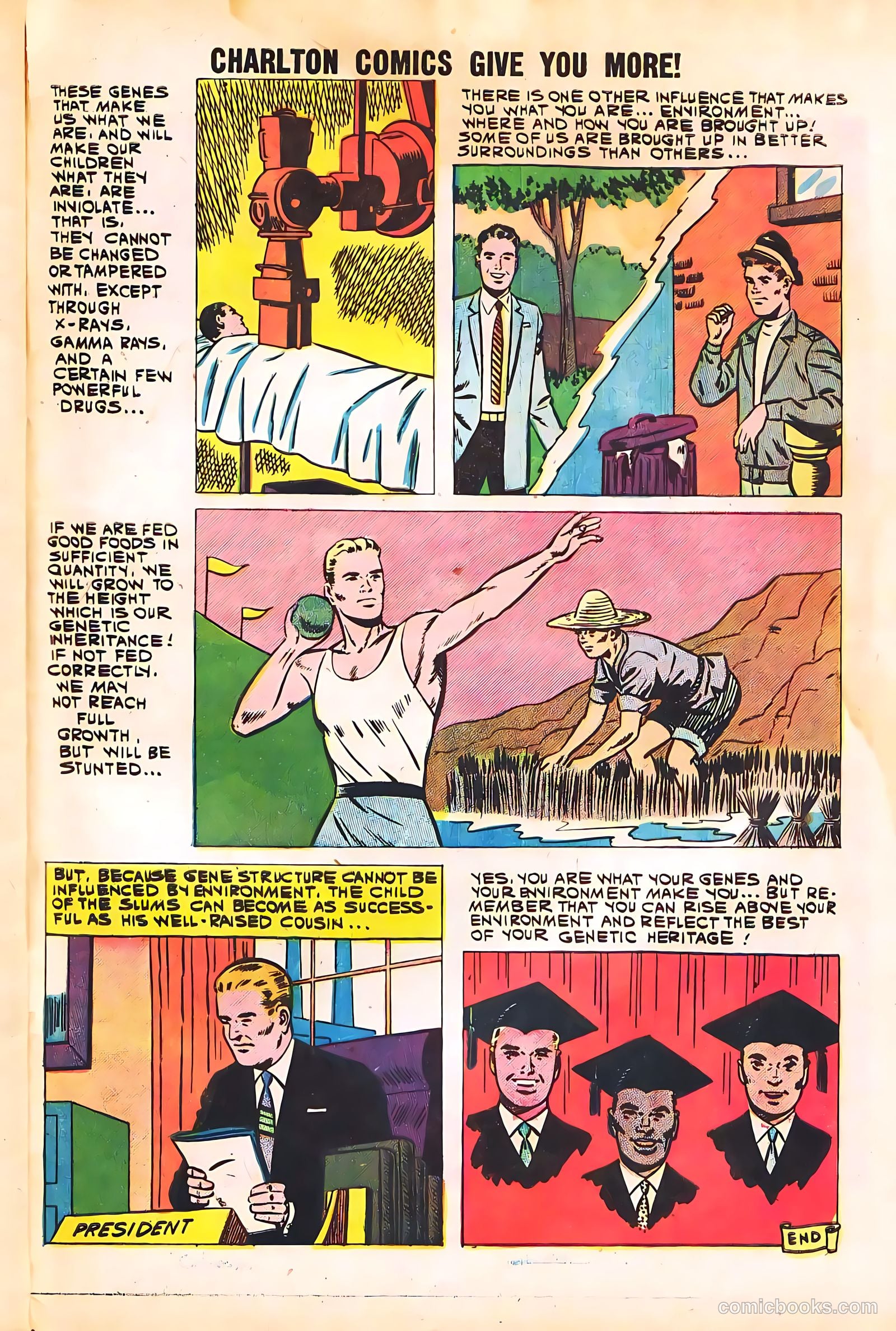 High School Confidential Diary #4 — page 33 of 36