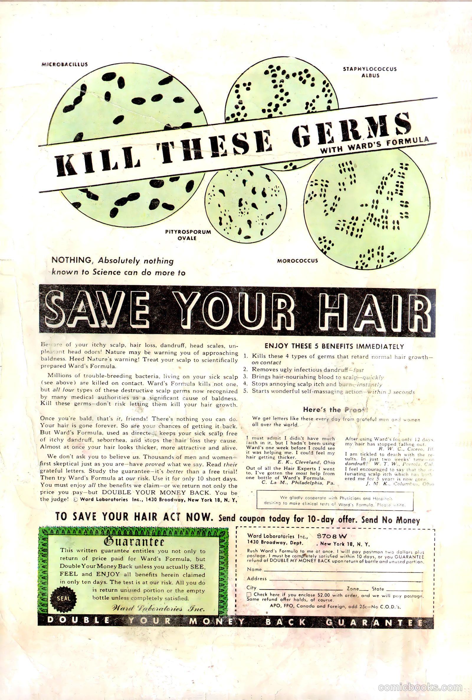 Horrific #1 — page 36 of 36