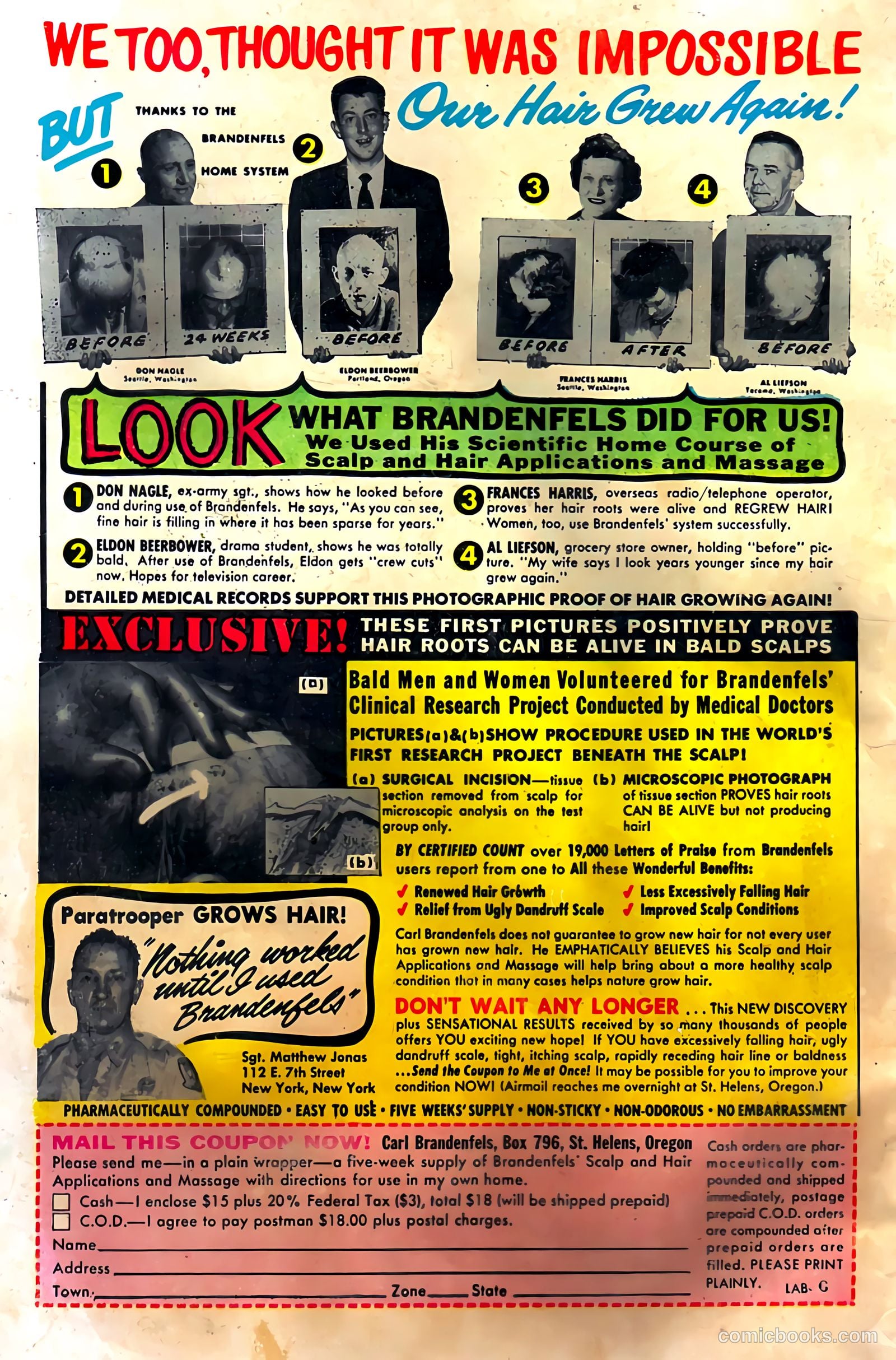 Horrific #10 — page 36 of 36