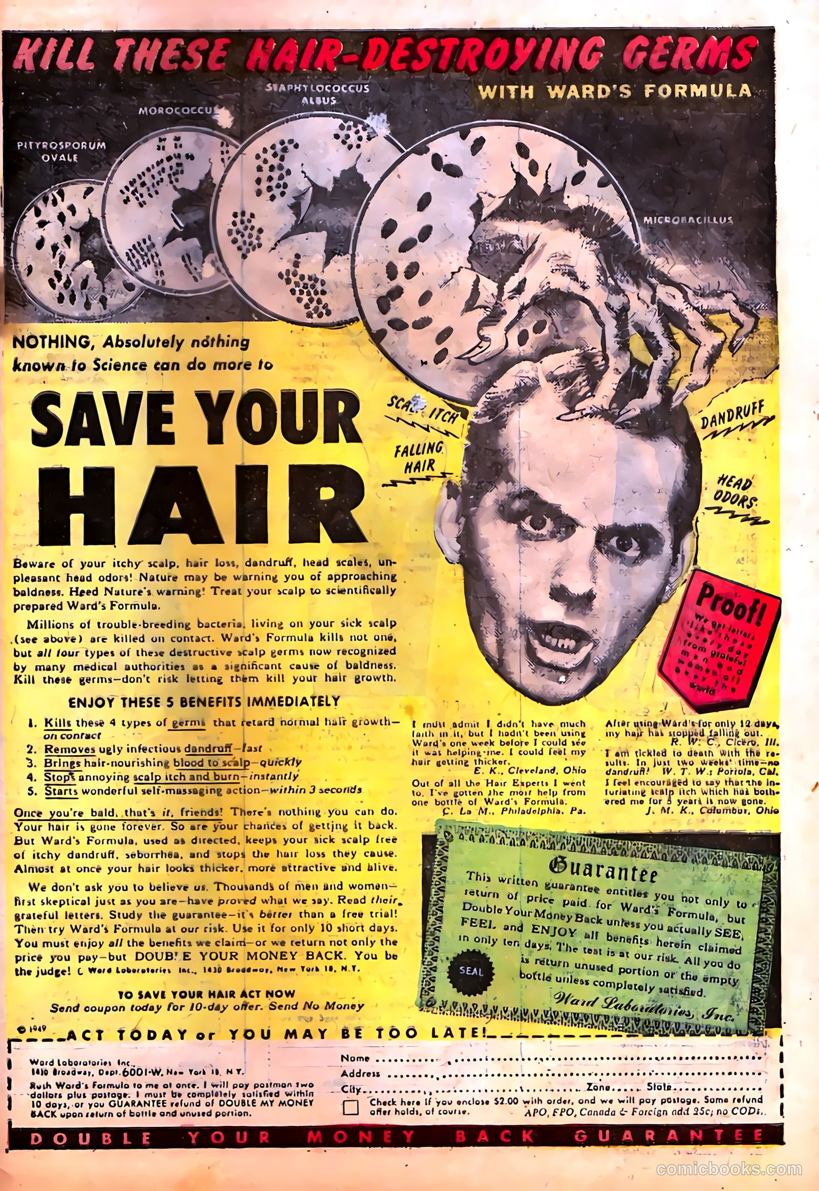 Horrific #4 — page 33 of 36